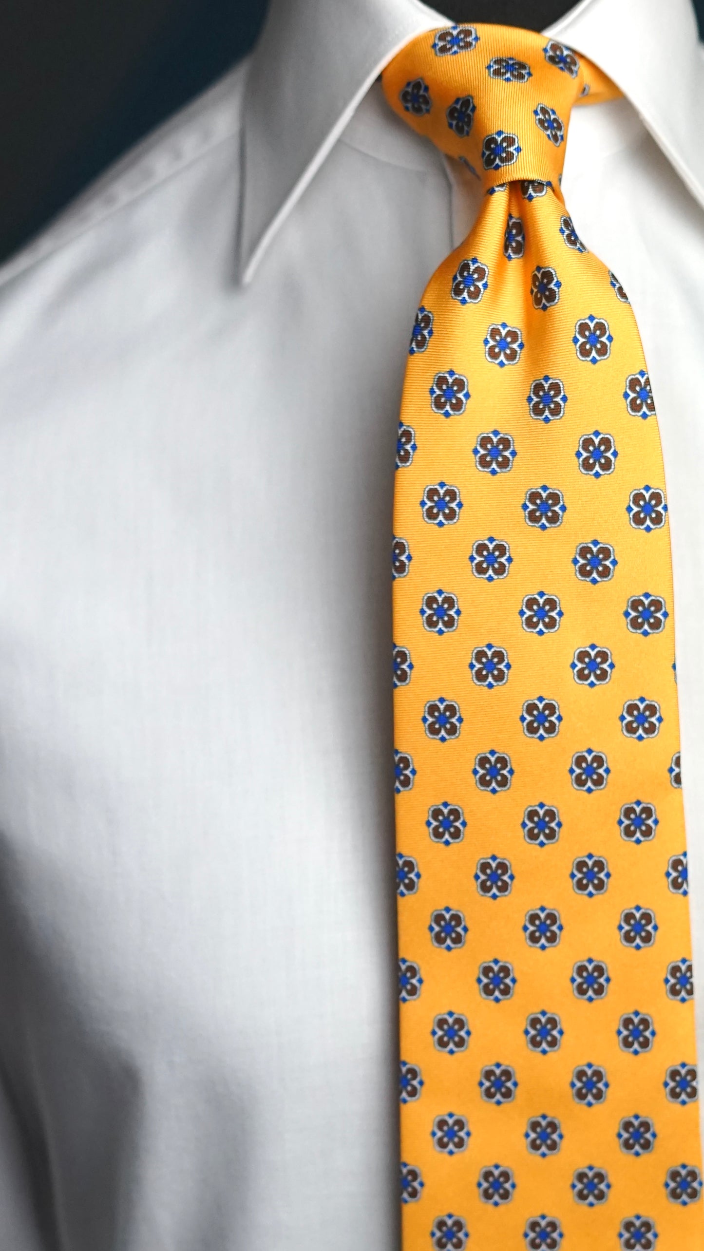 Canale Silk Nectkie
