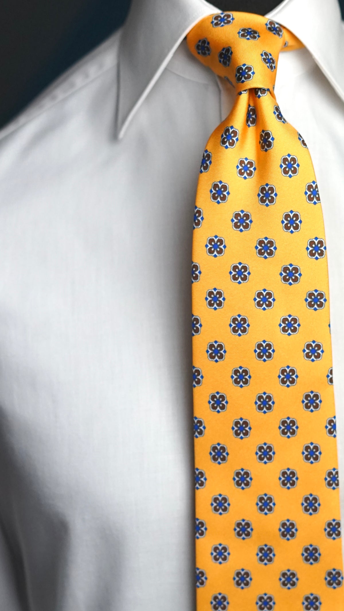 Canale Silk Nectkie