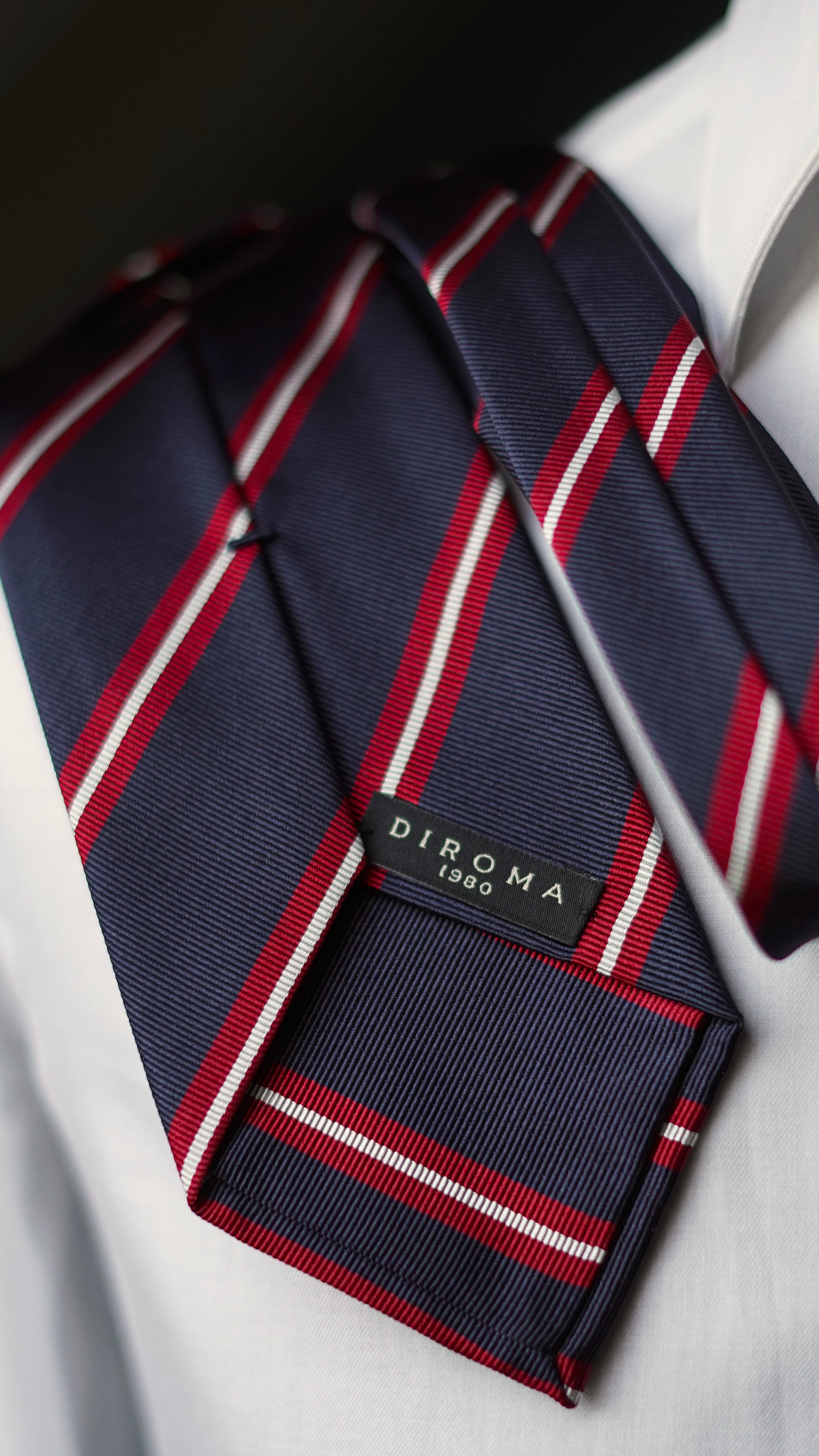 Accademica Silk Necktie