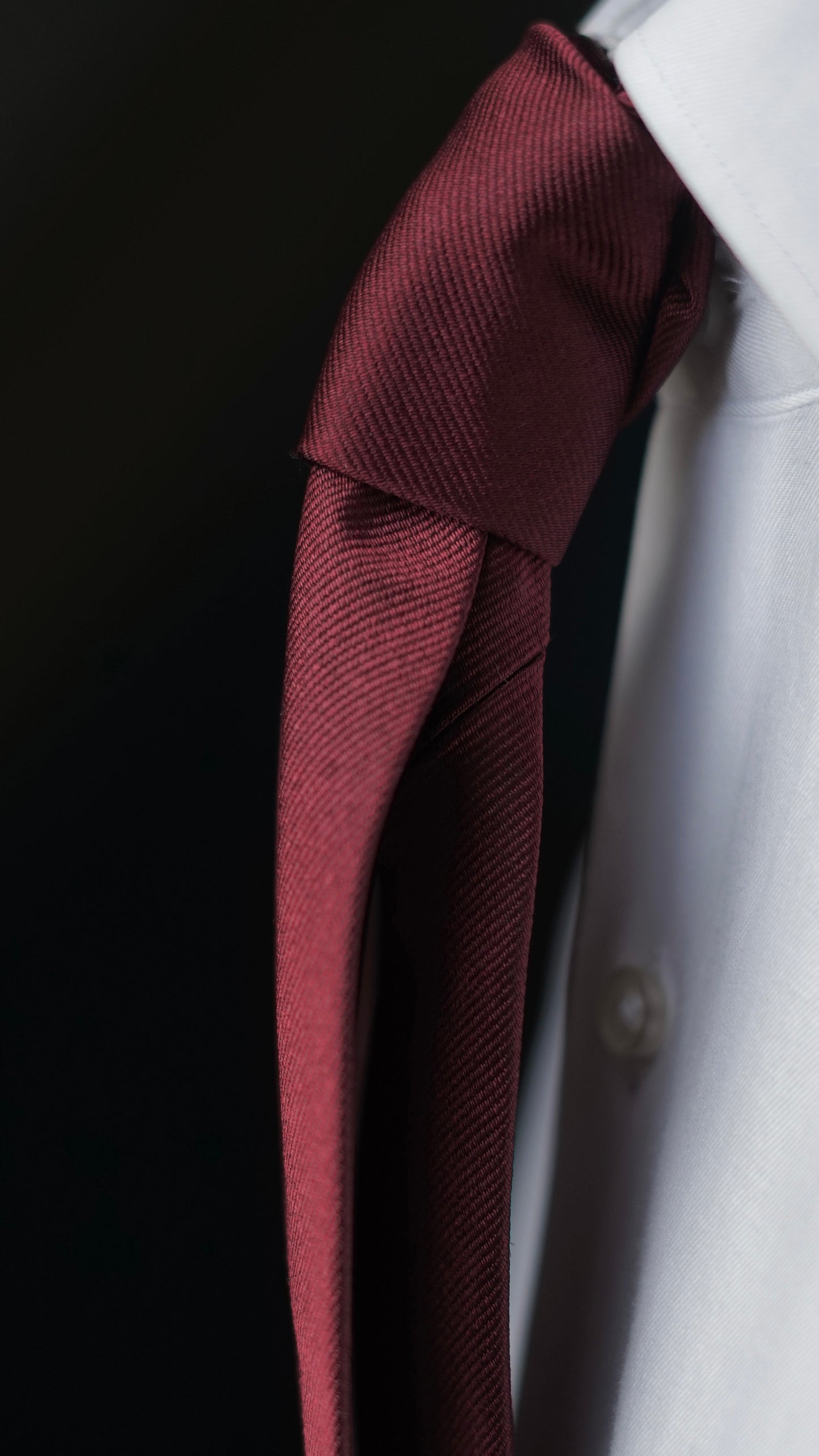Burgundy Solida Silk Necktie
