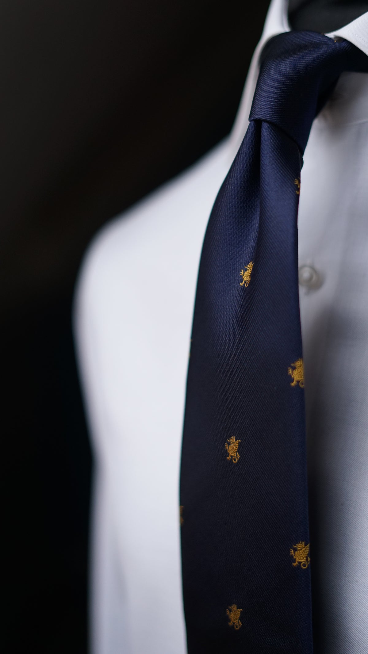Divina Silk Necktie