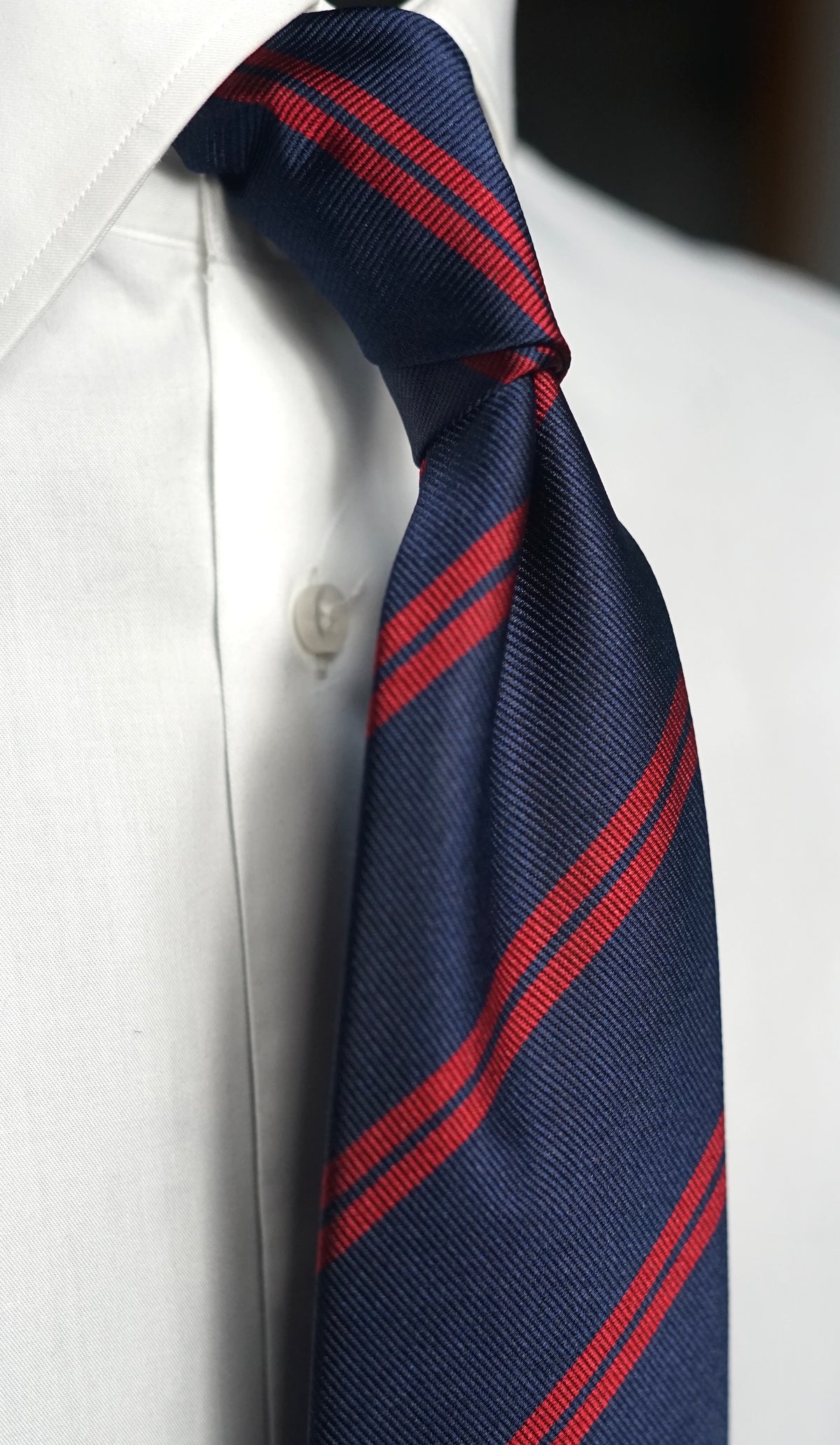 Agostina Silk Necktie