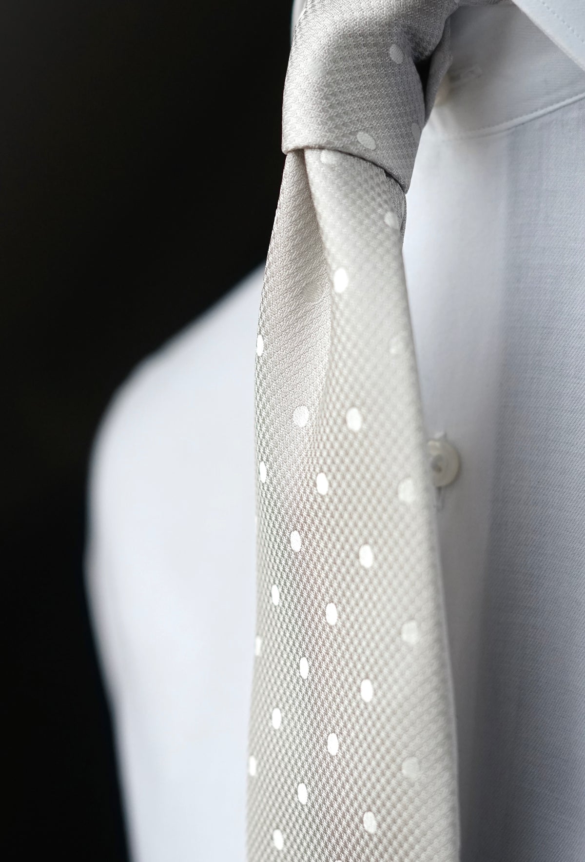 Ostrica Silk Necktie