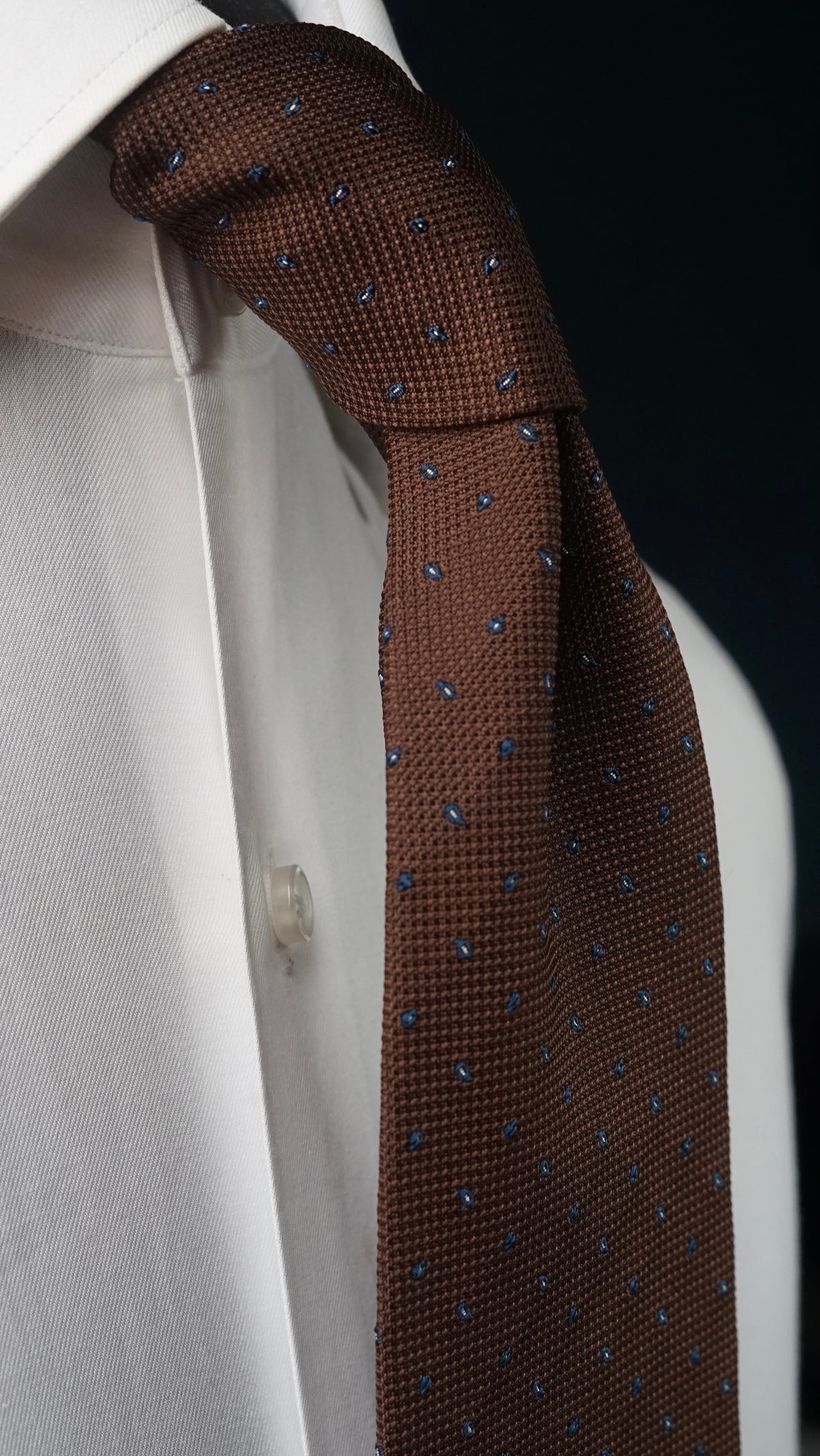 Farah Silk Necktie