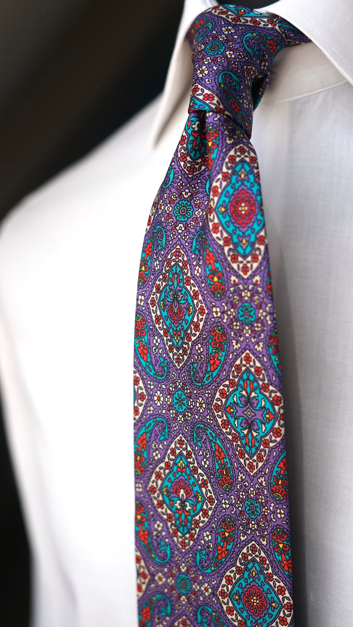 Salonia Silk Necktie