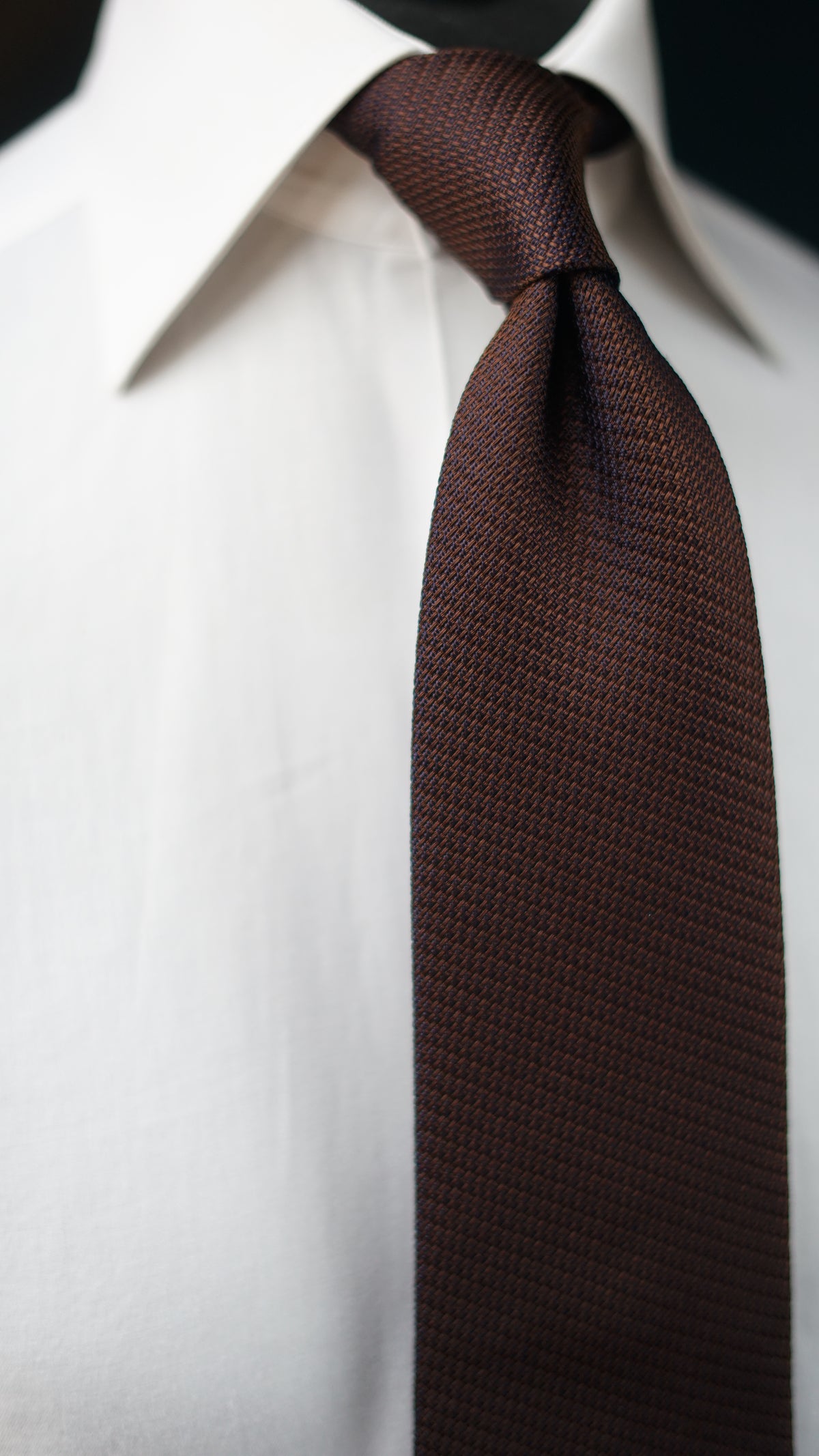Fabiola Silk Necktie