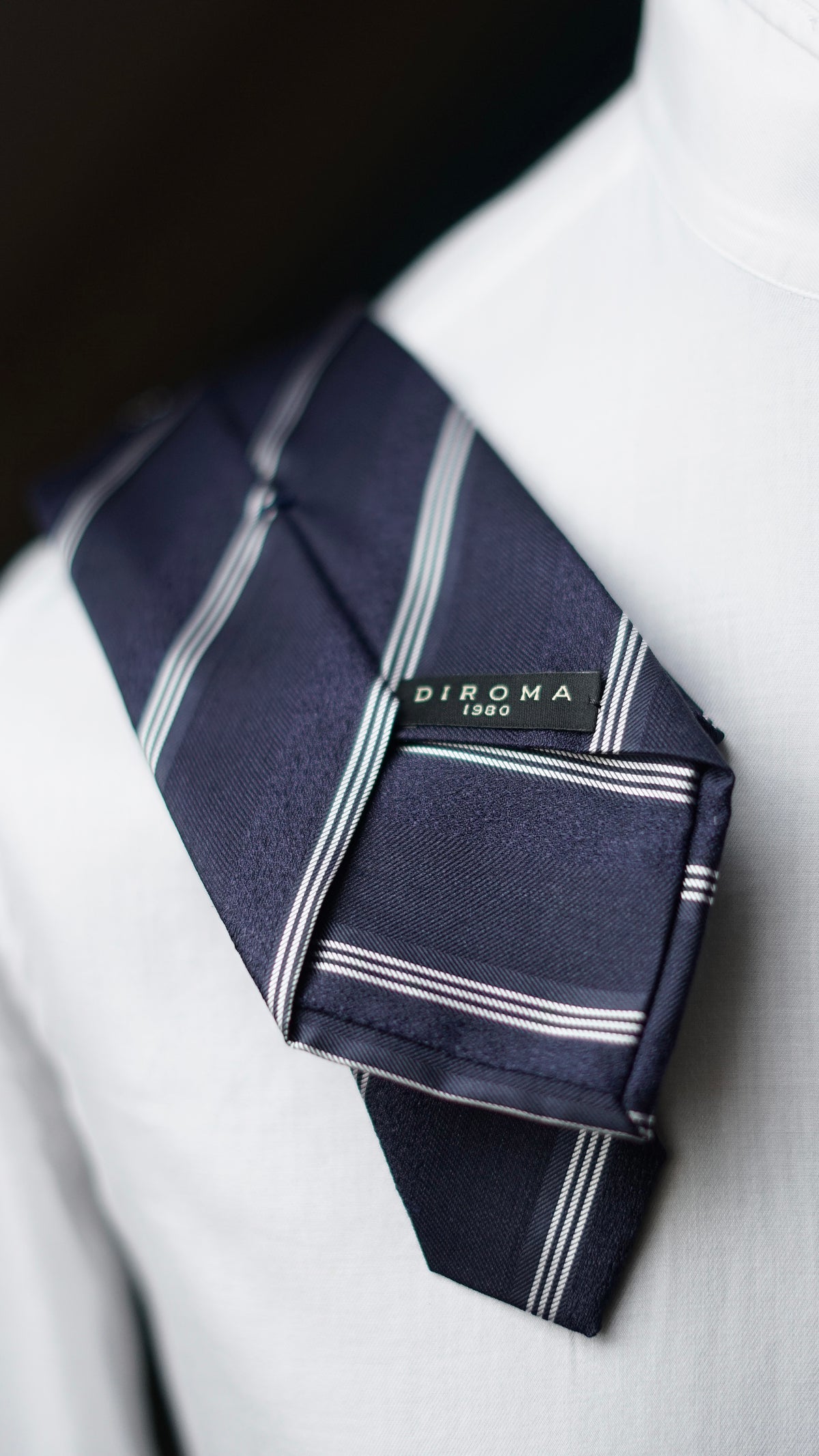 Tara Silk Necktie