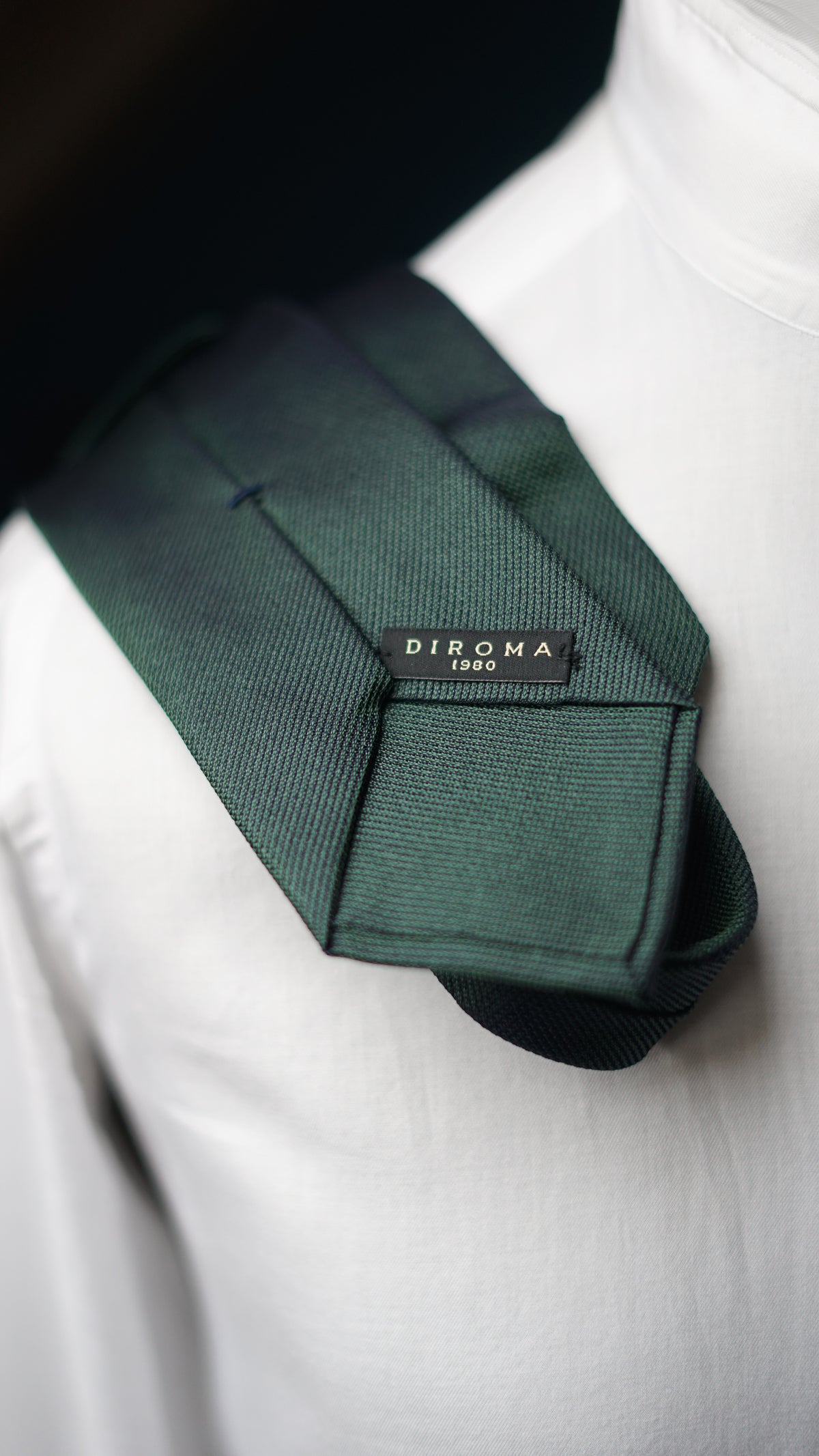 Fabiola Verde Silk Necktie
