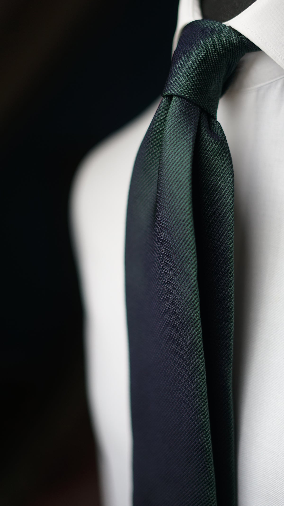 Fabiola Verde Silk Necktie