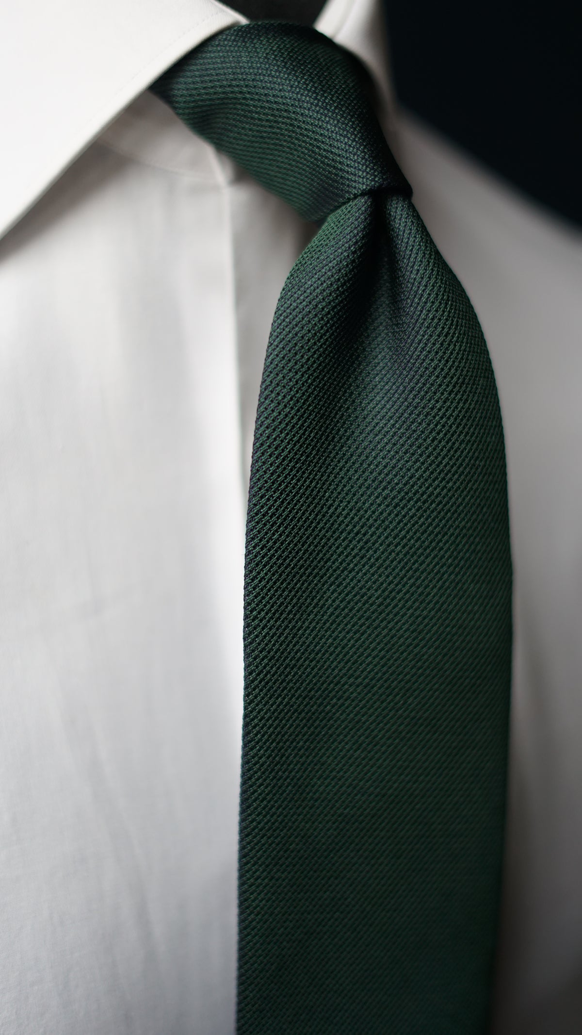Fabiola Verde Silk Necktie