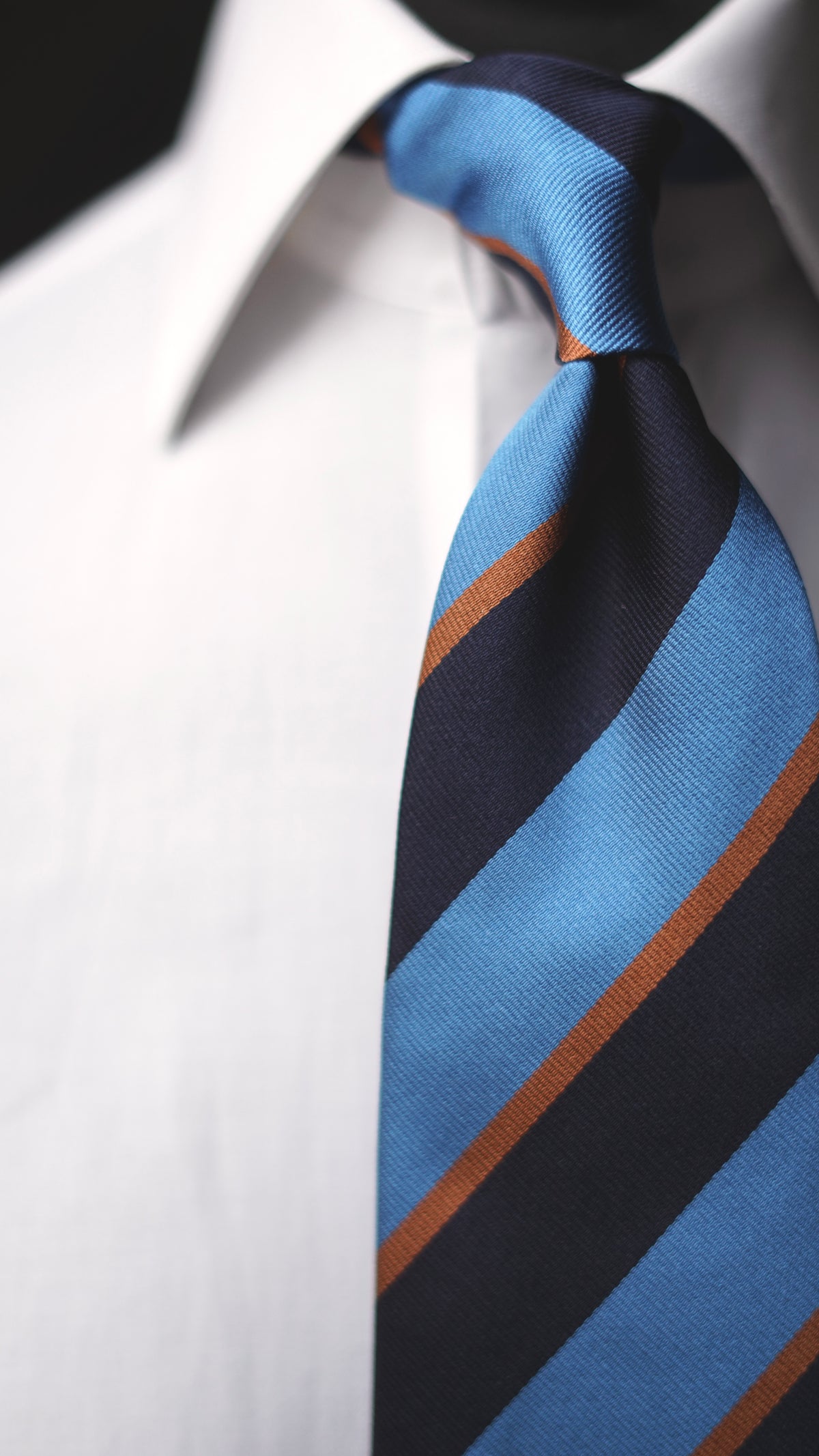 Agostina Silk Necktie