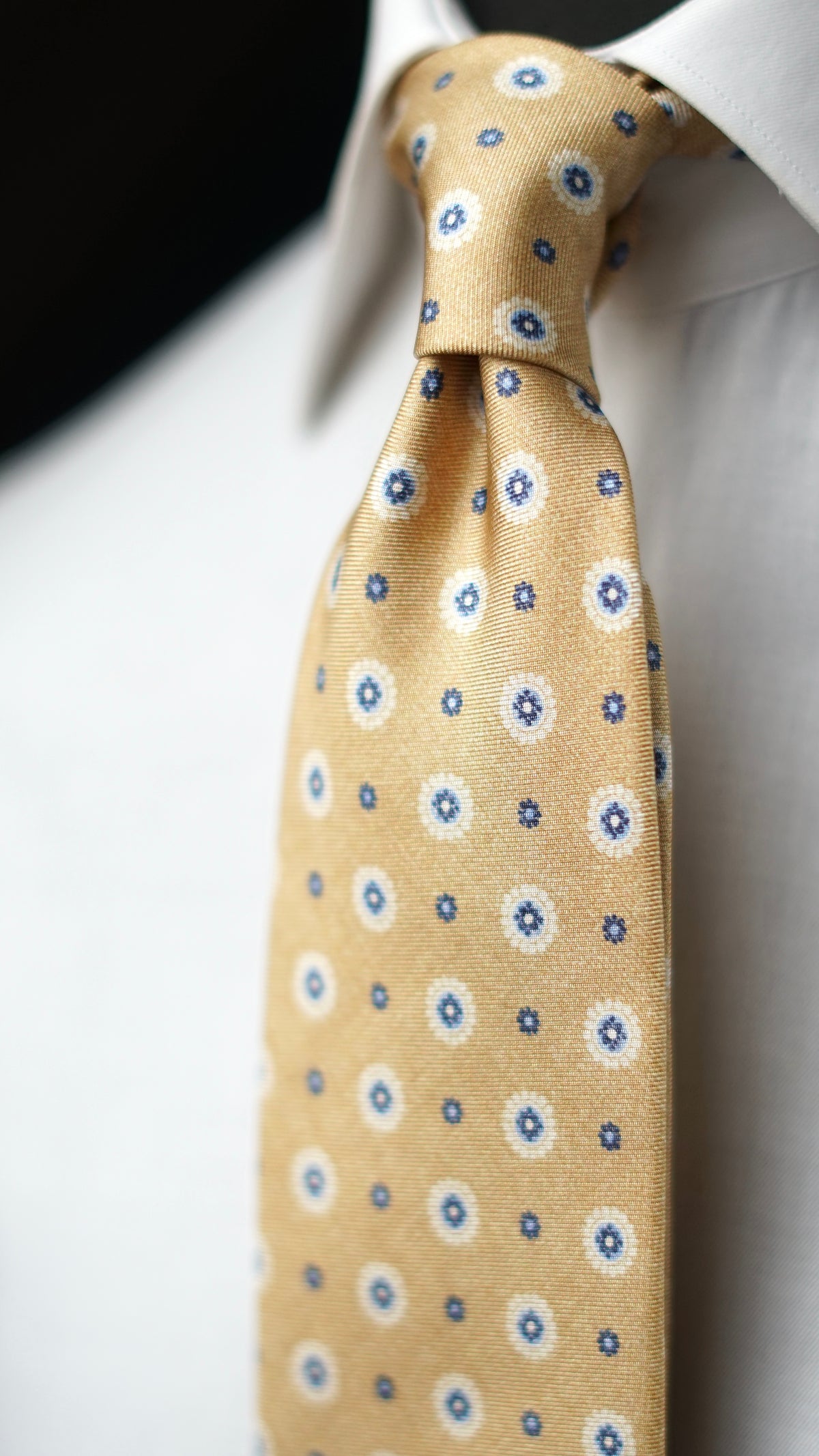 Palissia Silk Necktie