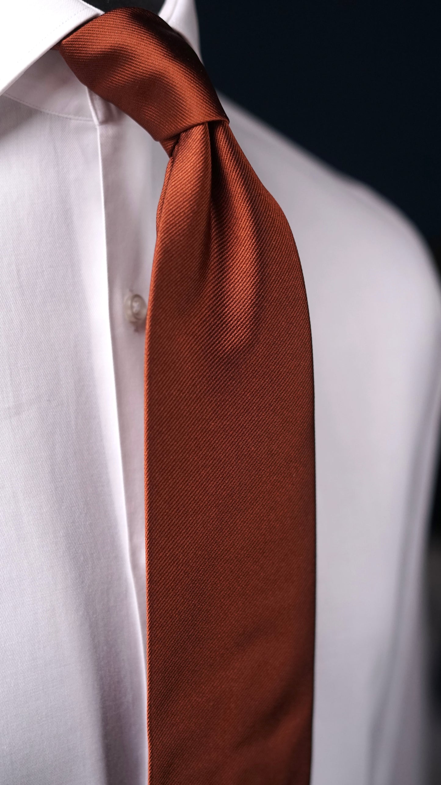 Siena Solida Silk Necktie