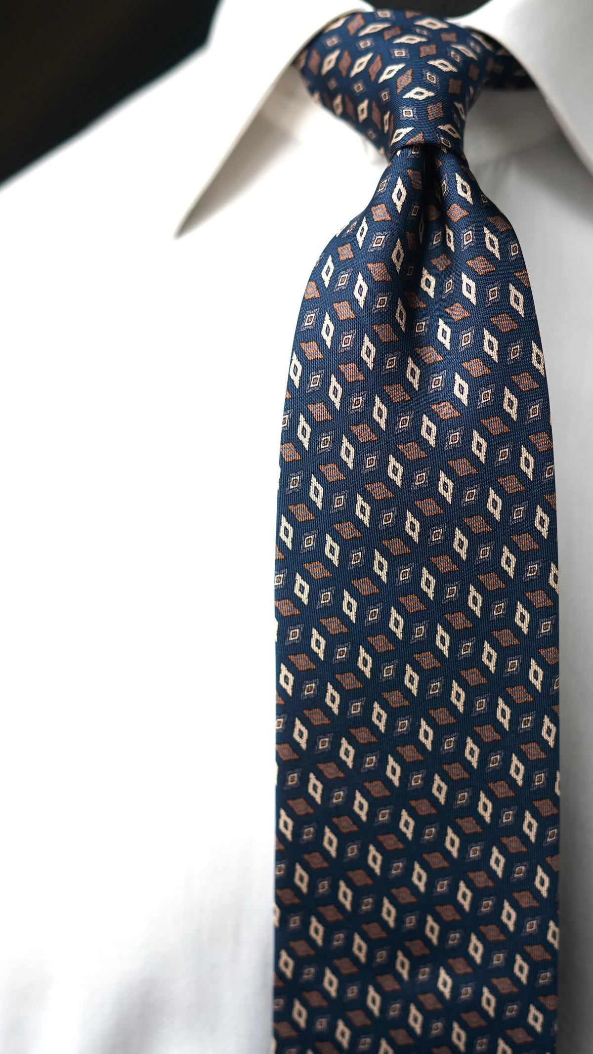 Cattolica Silk Necktie