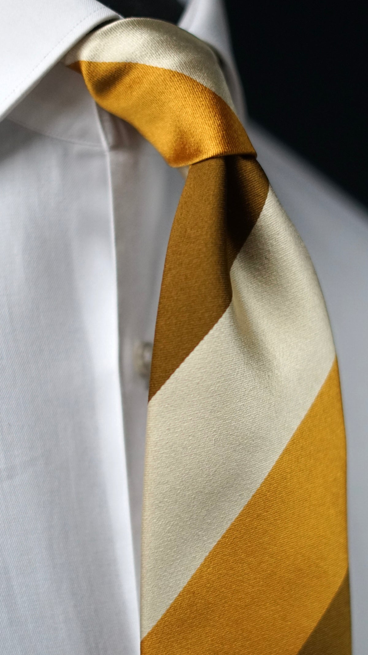 Raso Gold Silk Necktie