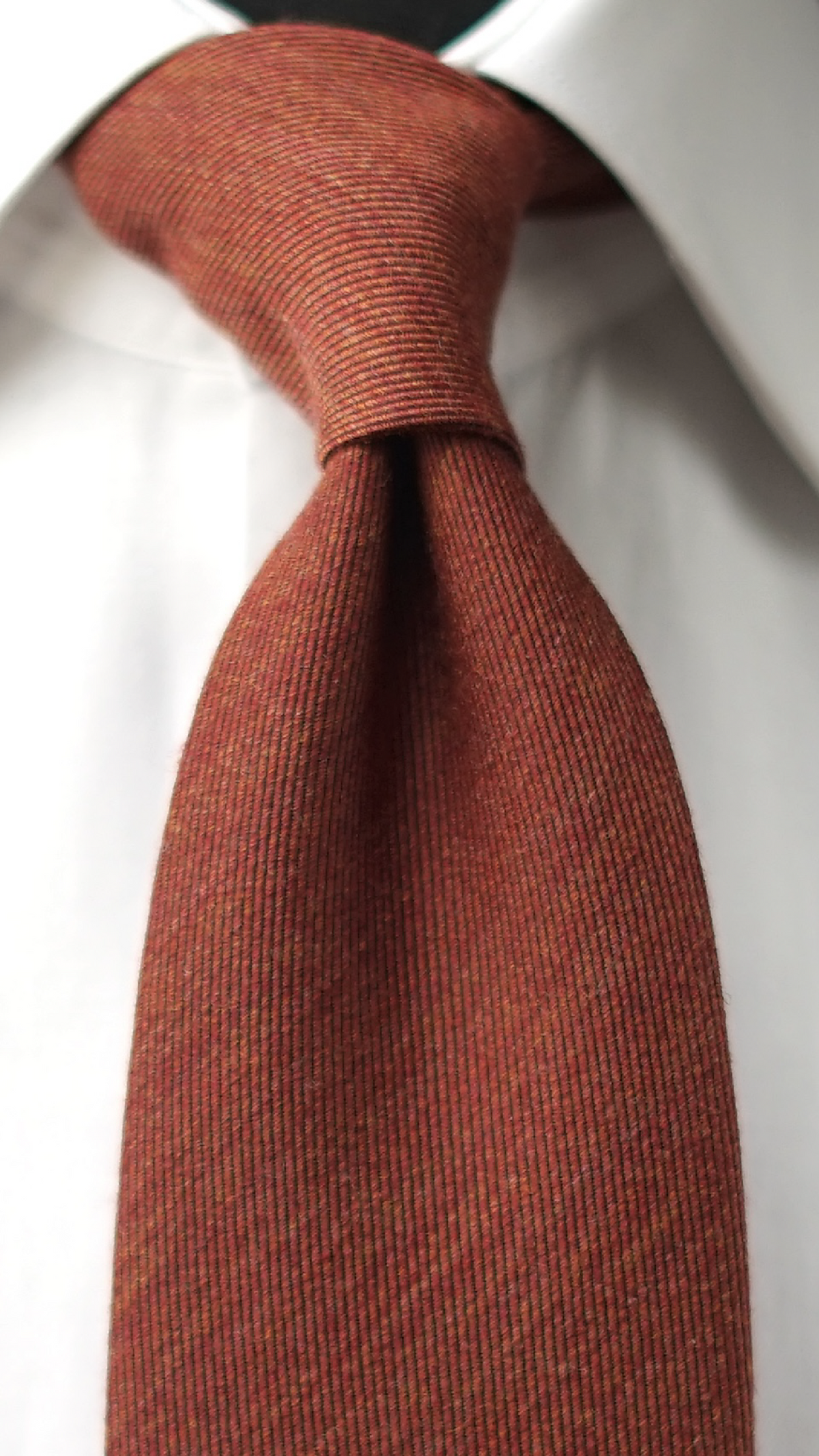 Tegola Wool/Silk Necktie