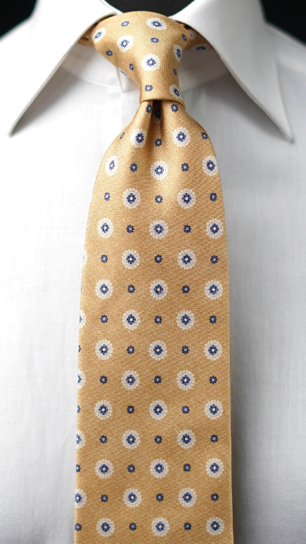 Palissia Silk Necktie