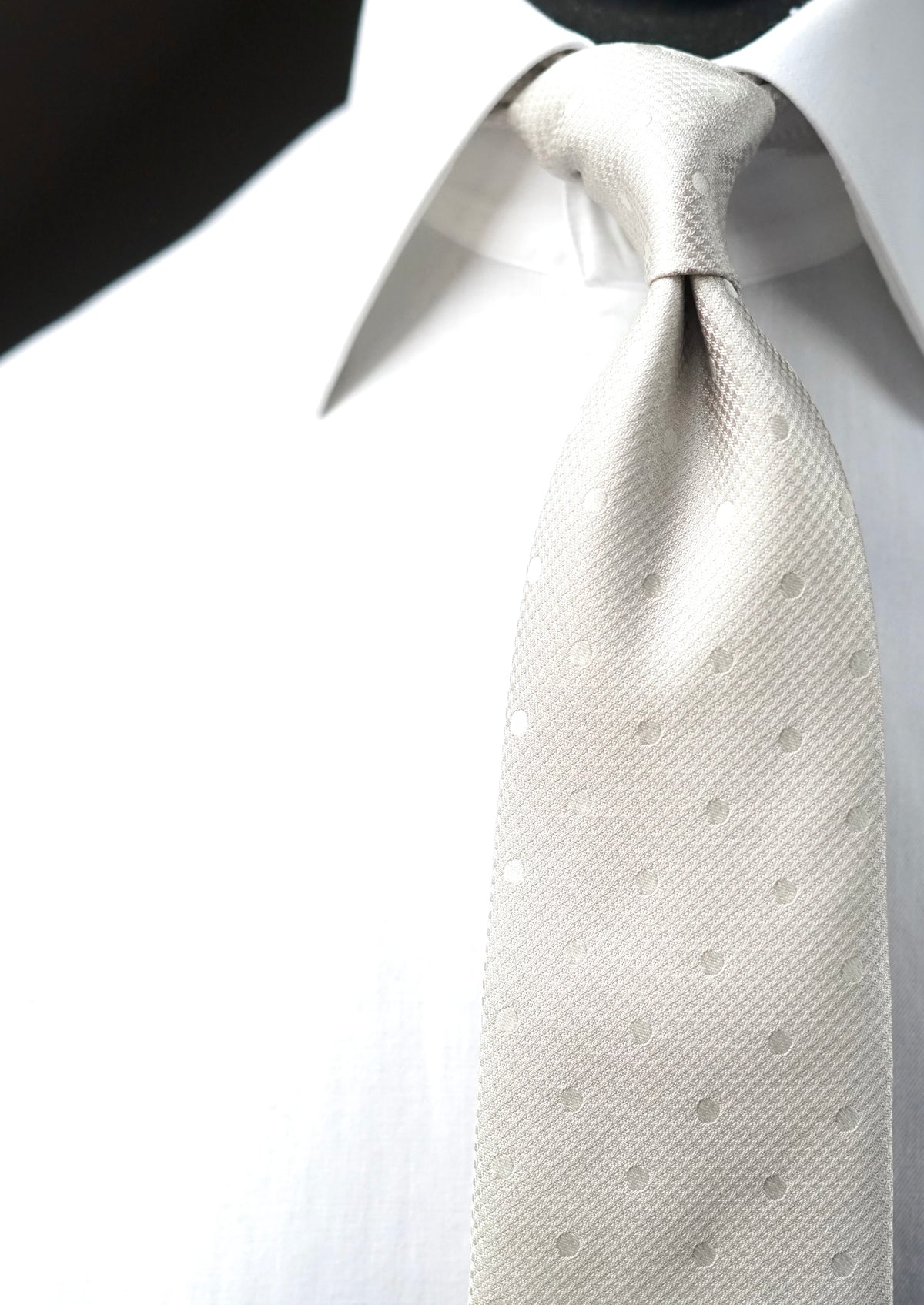 Ostrica Silk Necktie