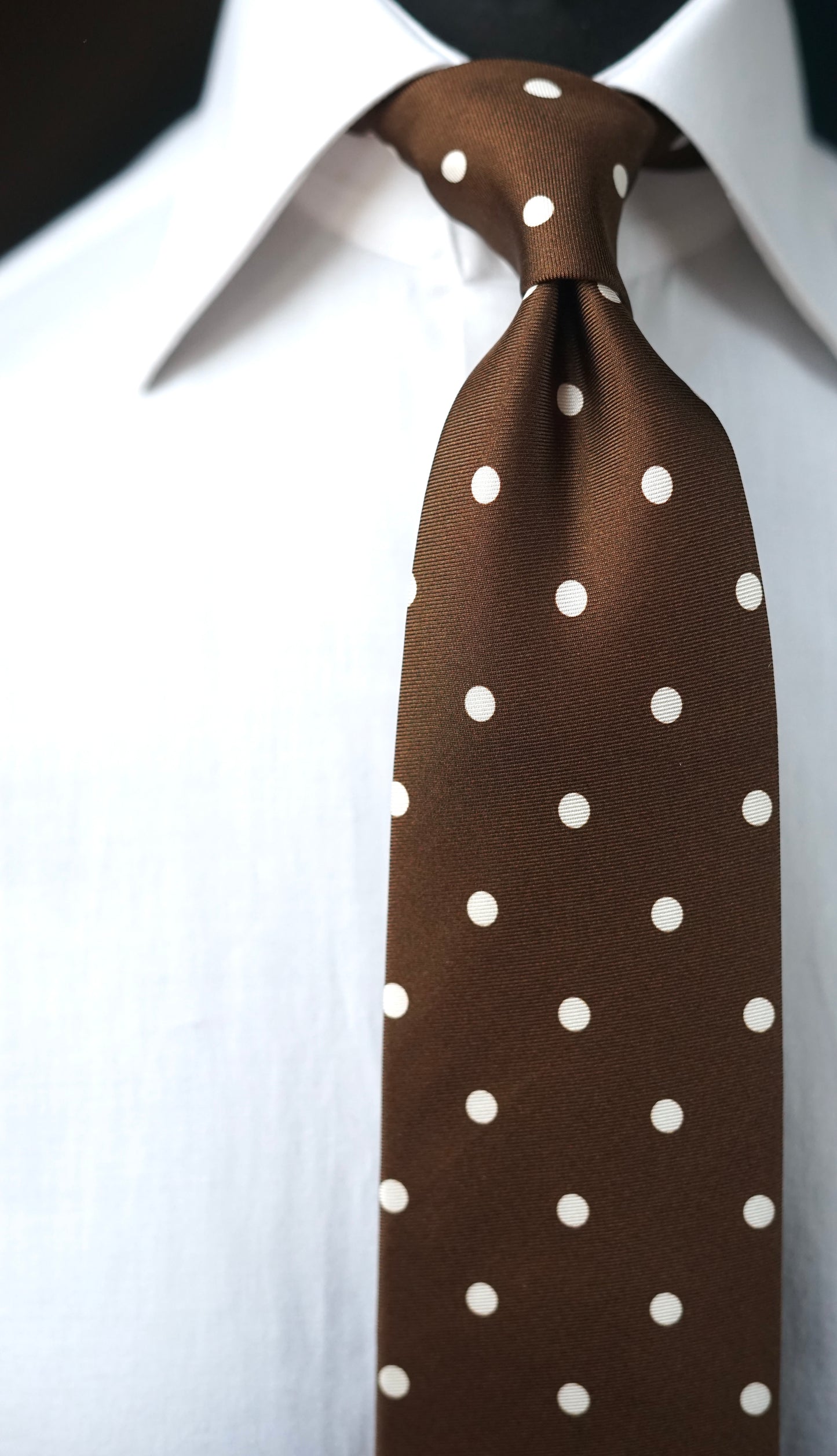 Pois Marrone Silk Necktie