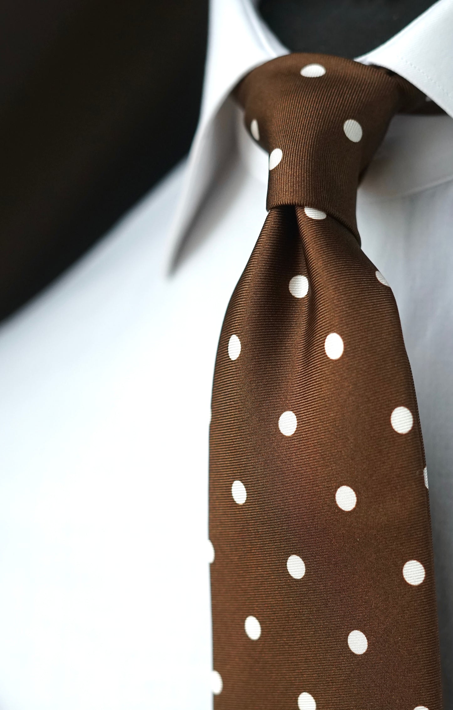 Pois Marrone Silk Necktie