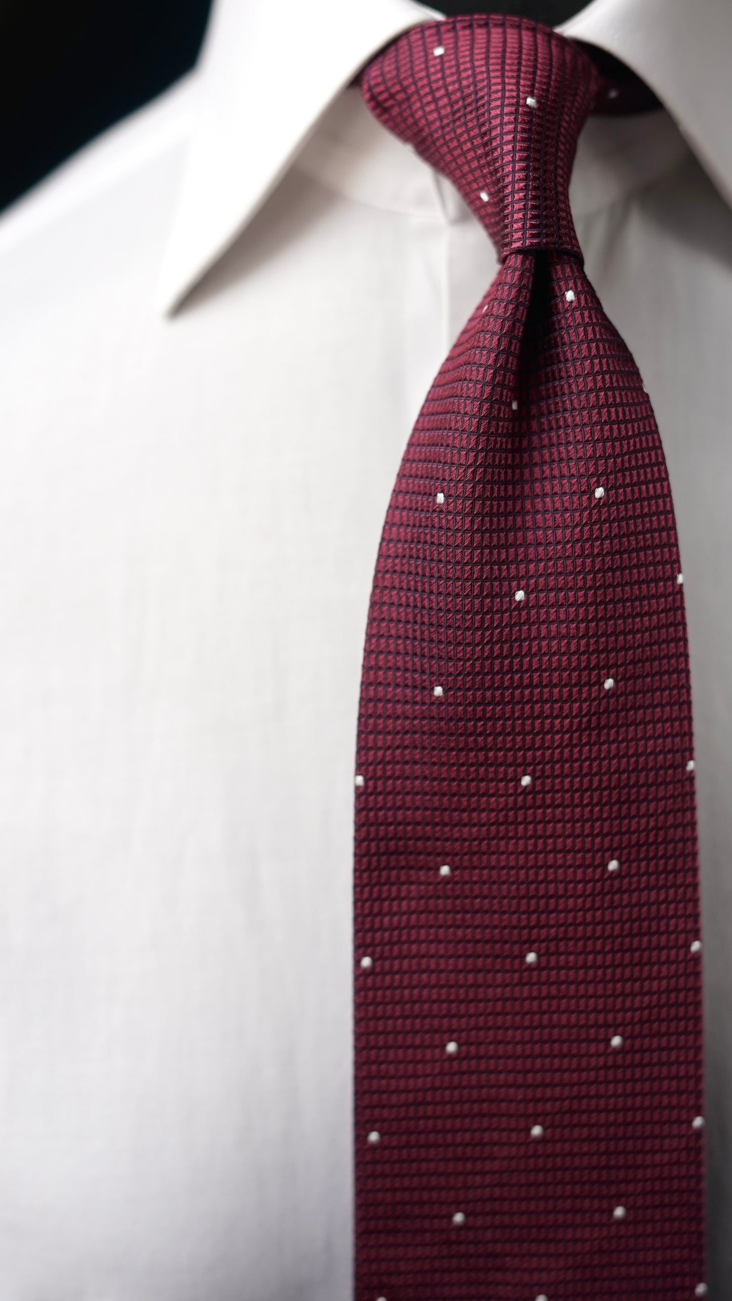 Catania Burgundy Silk Necktie