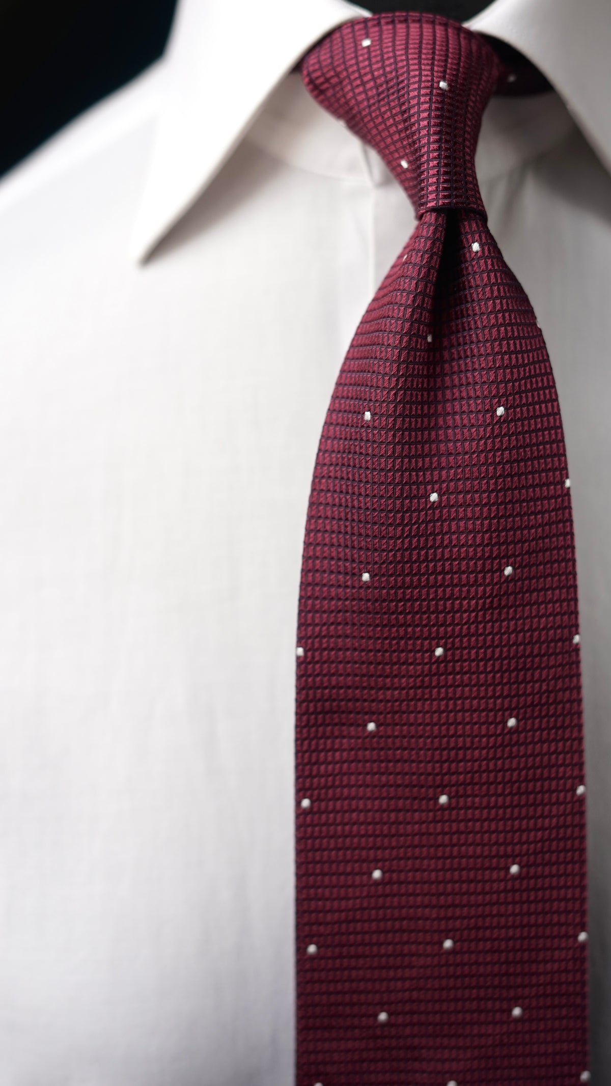 Catania Burgundy Silk Necktie