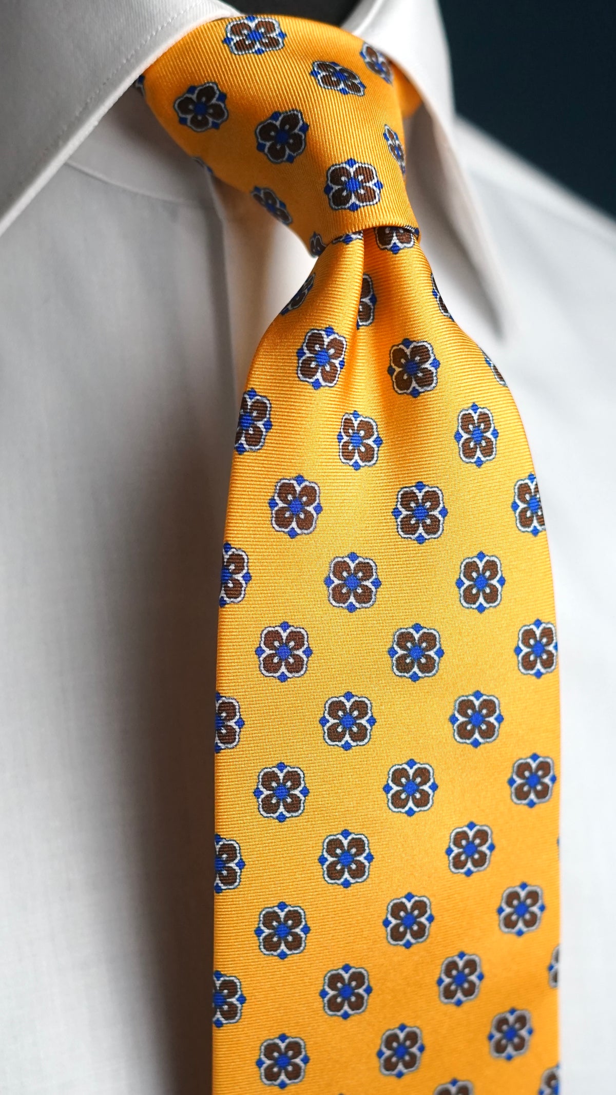 Canale Silk Nectkie