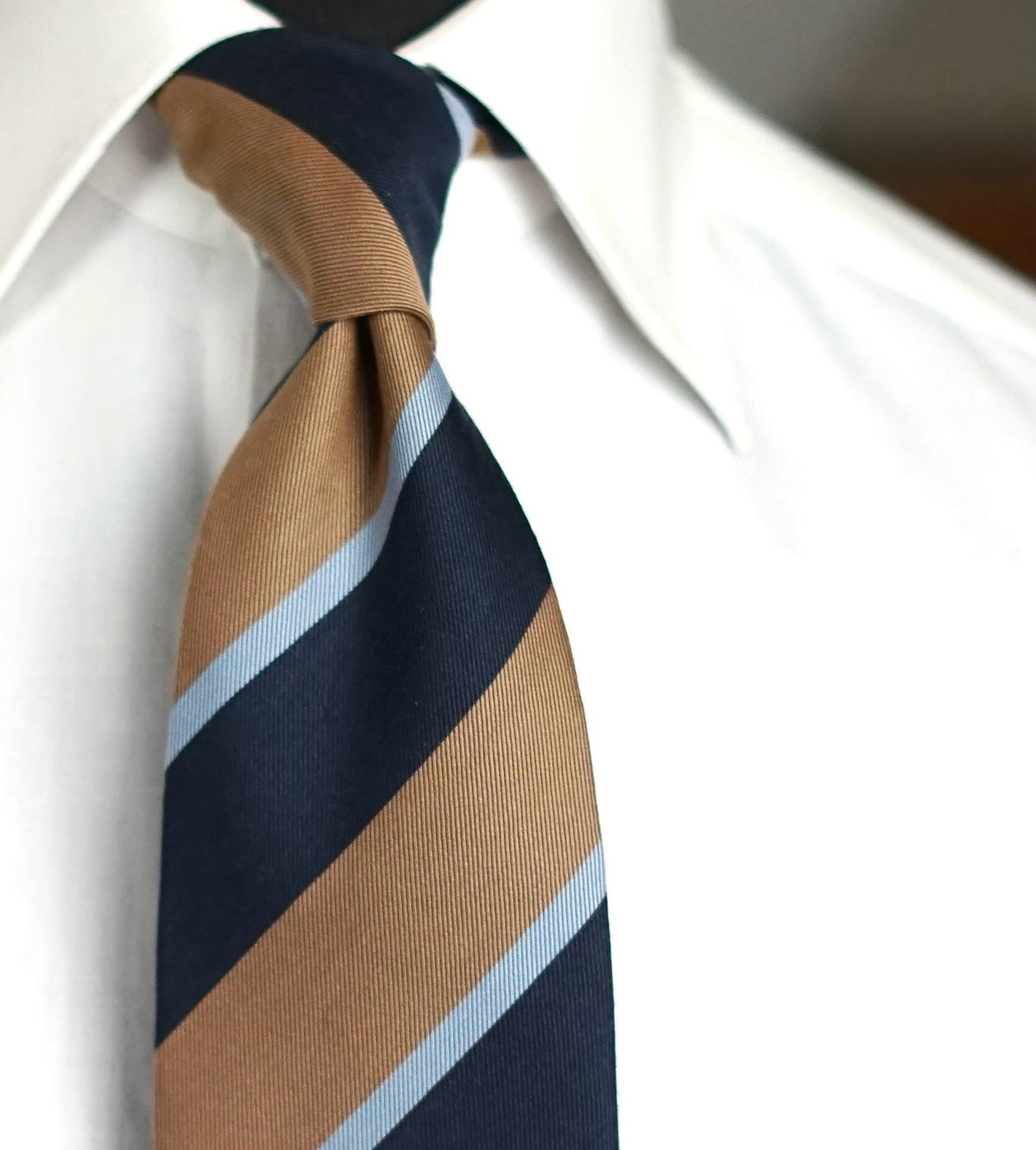 Violante Silk Necktie