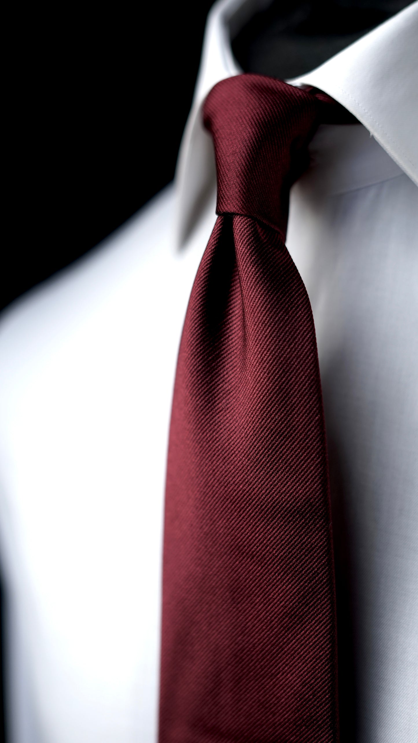 Burgundy Solida Silk Necktie