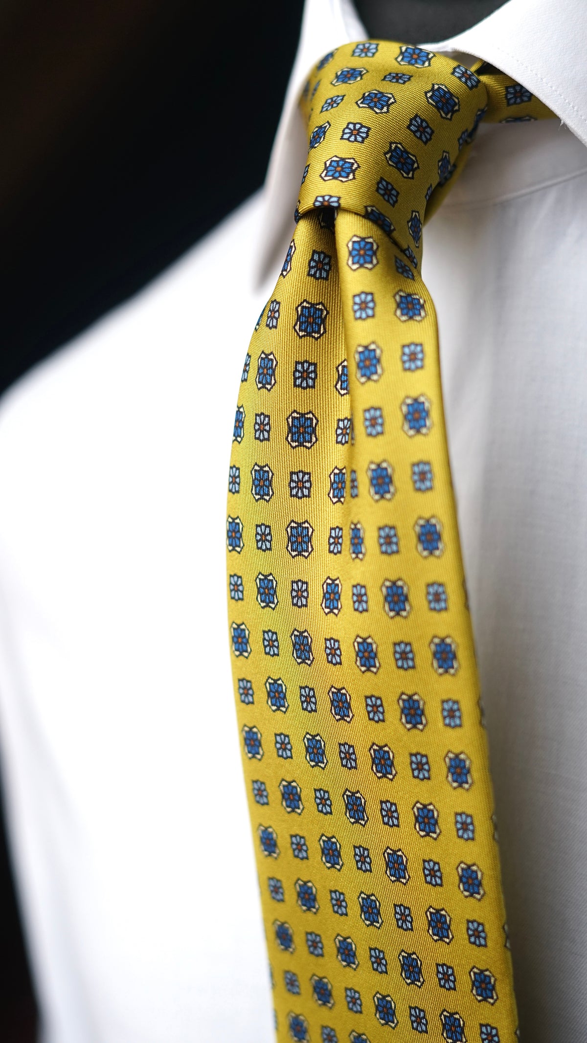 Cedra Silk Necktie