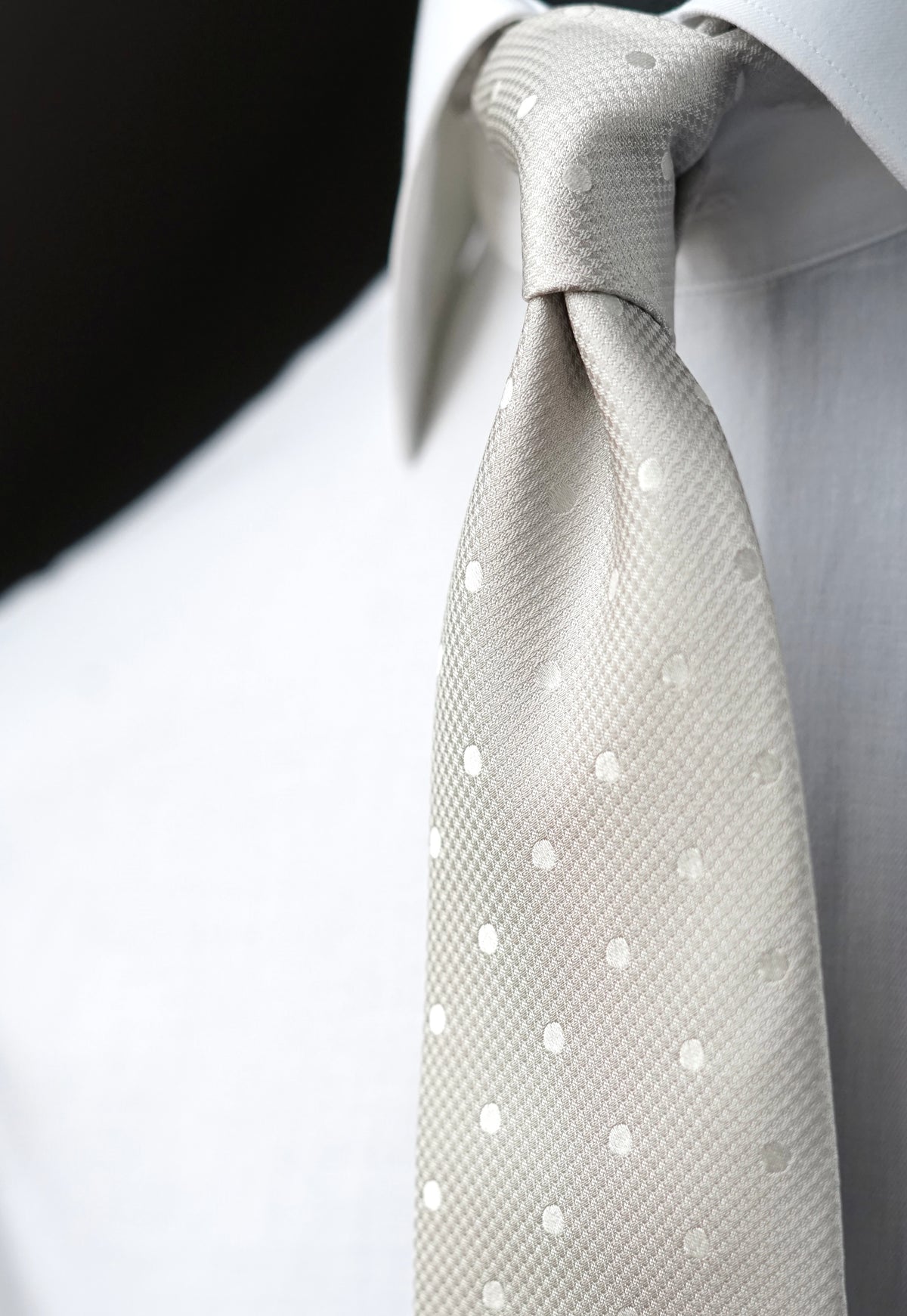 Ostrica Silk Necktie