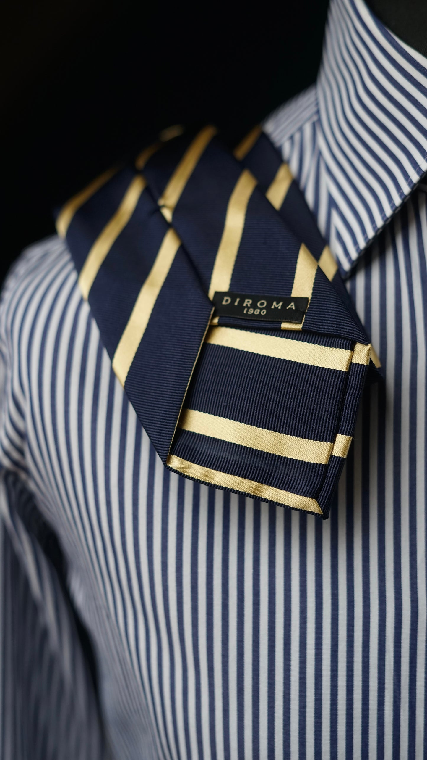 Carenza Silk Necktie