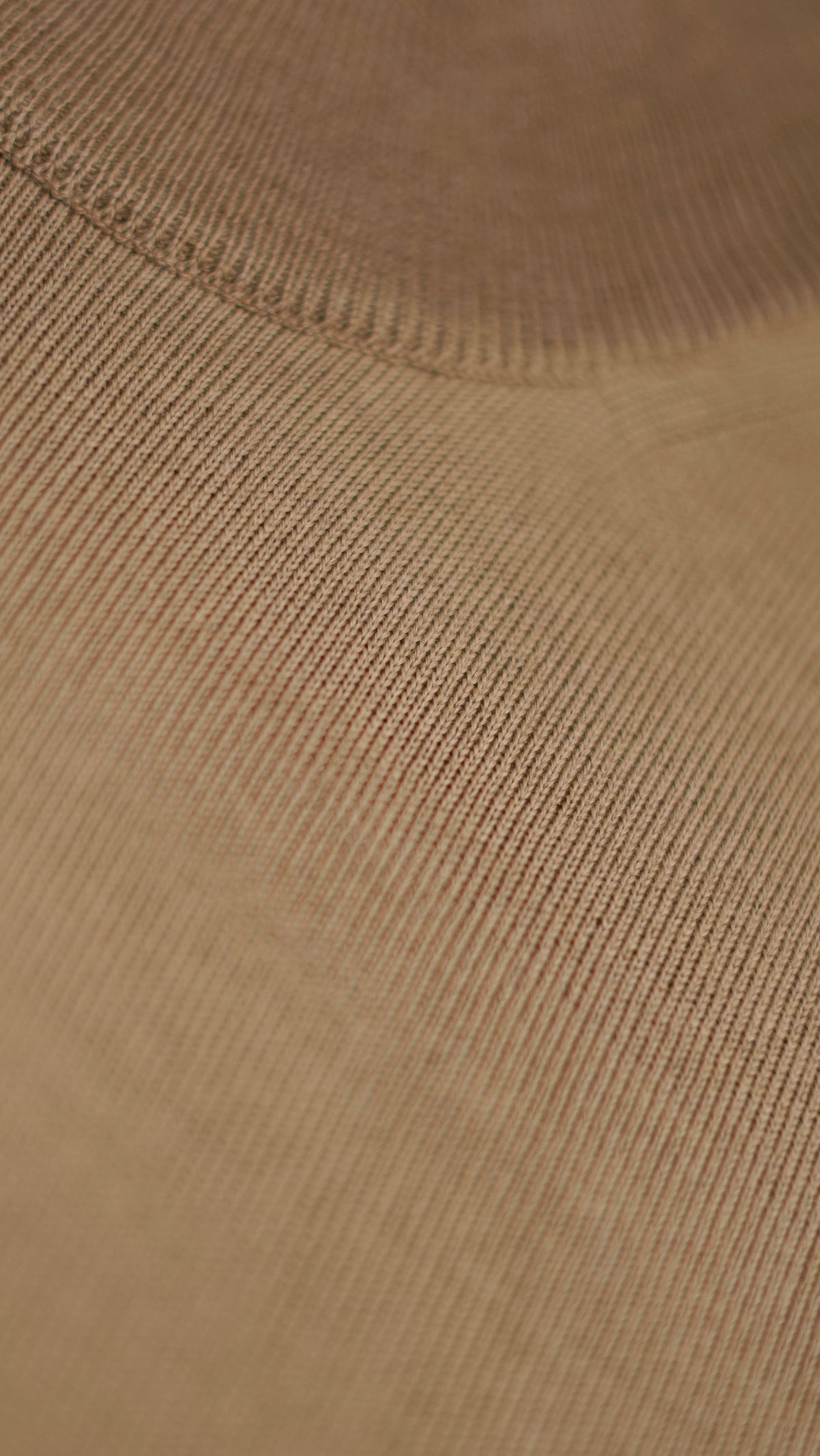 Camel Wool High Neck