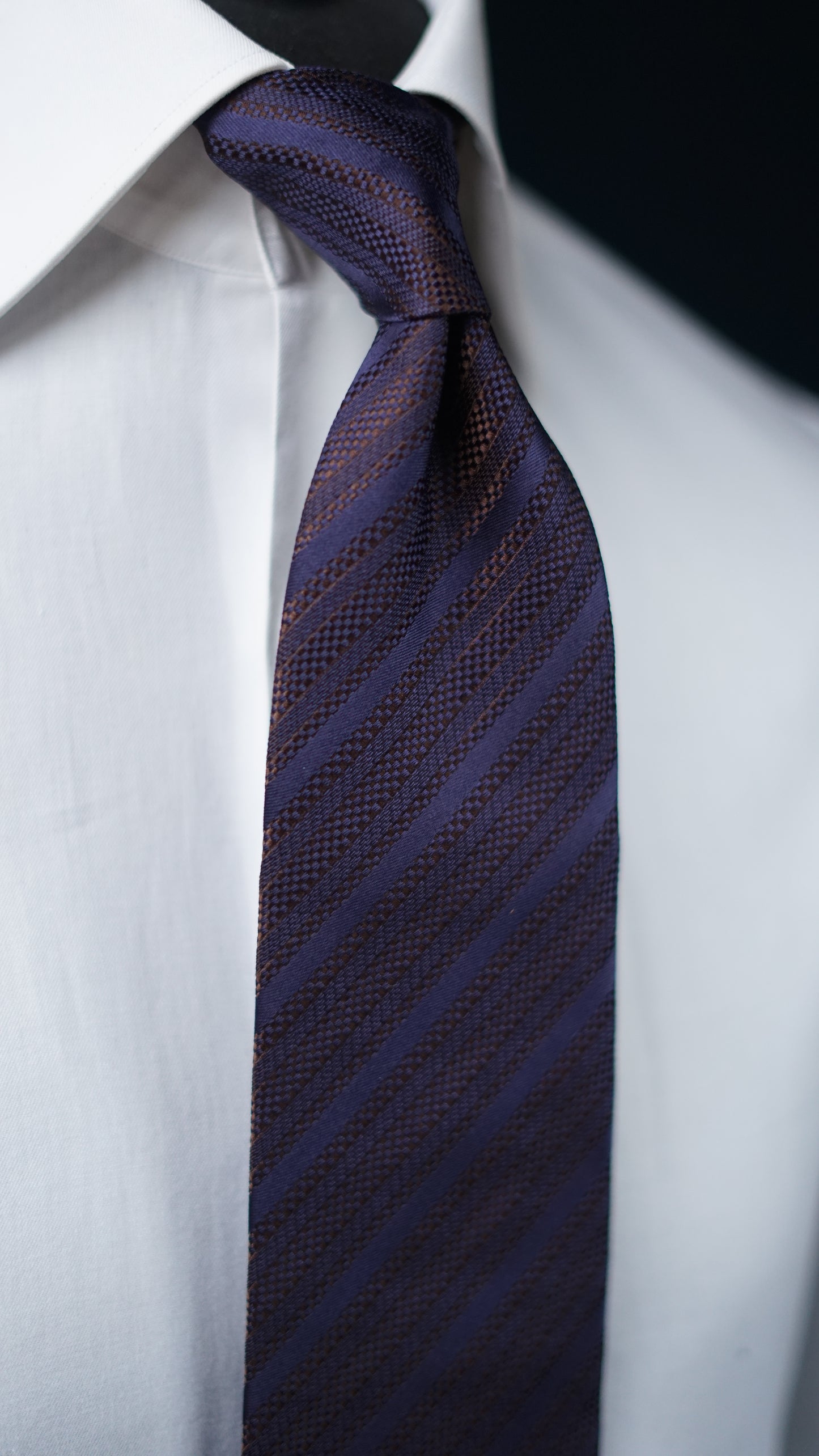 Ragona Silk Necktie