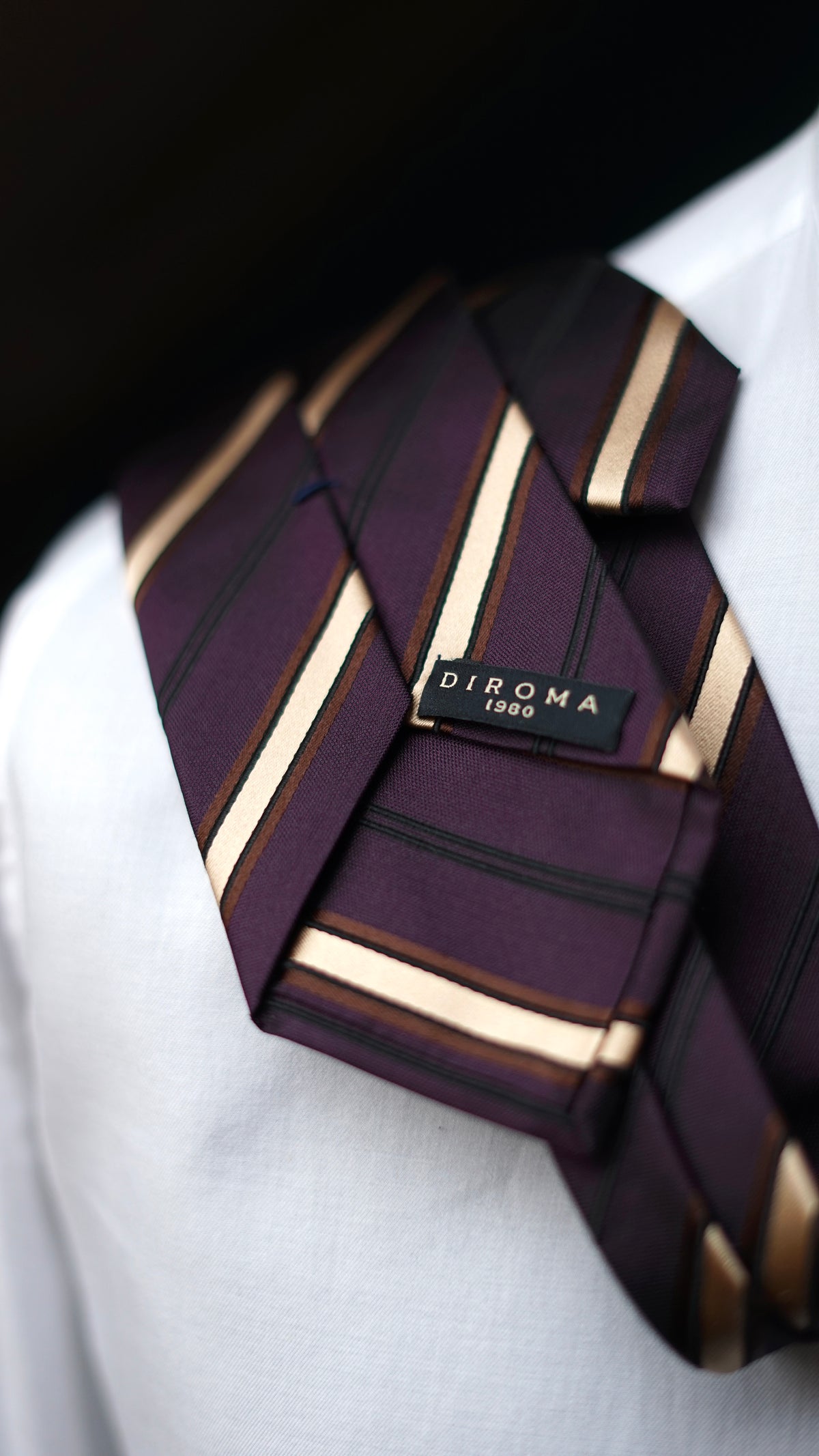Romoalda Purple Silk Necktie