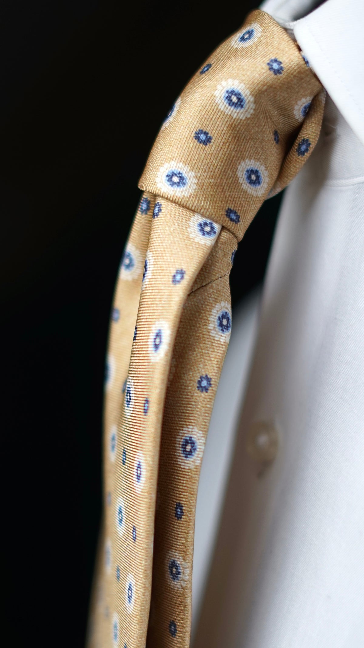 Palissia Silk Necktie