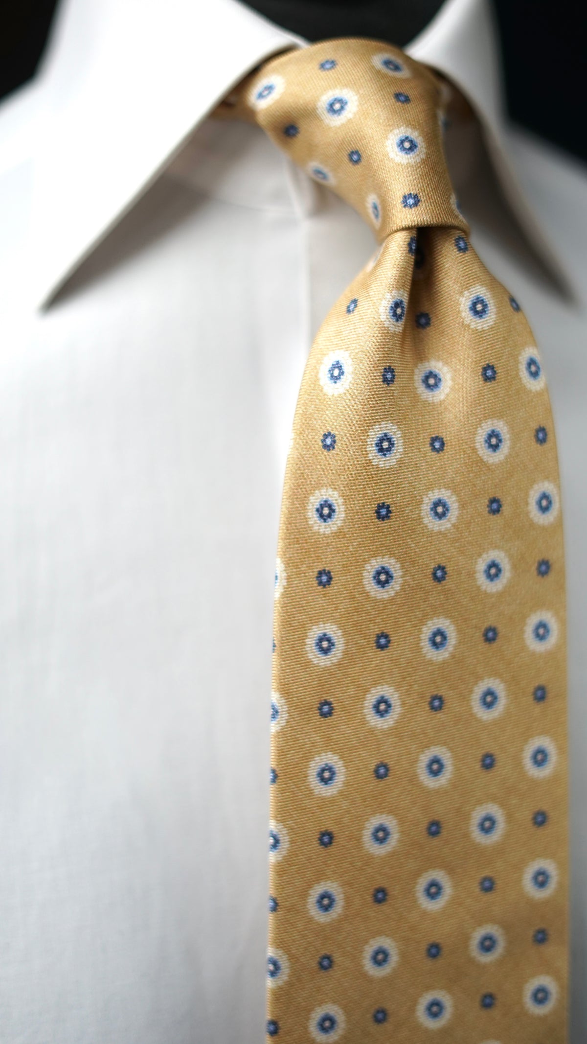 Palissia Silk Necktie