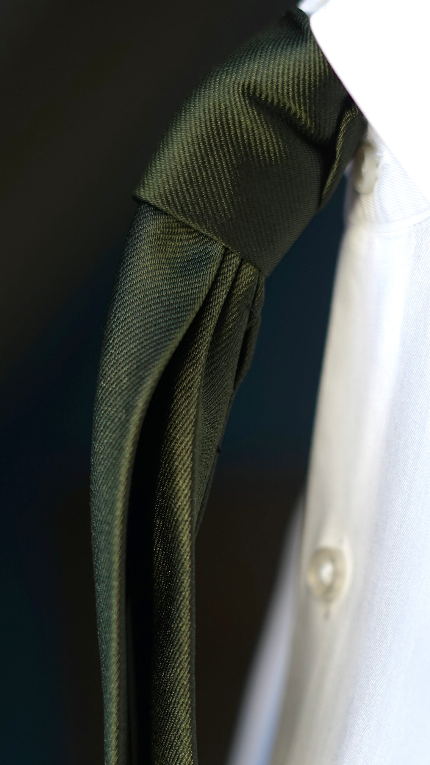 Lichene Solida Silk Necktie