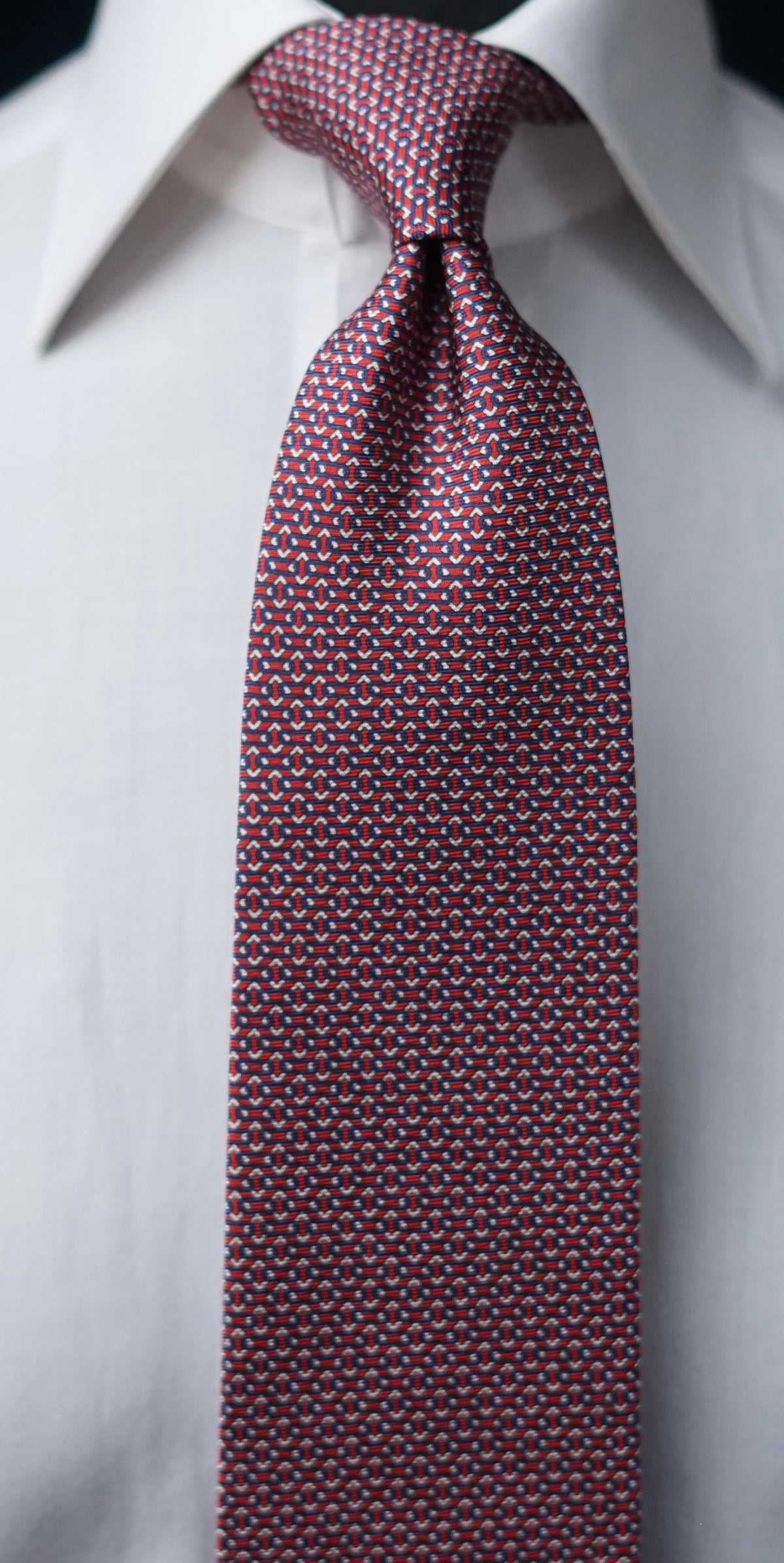 Salvia Silk Necktie
