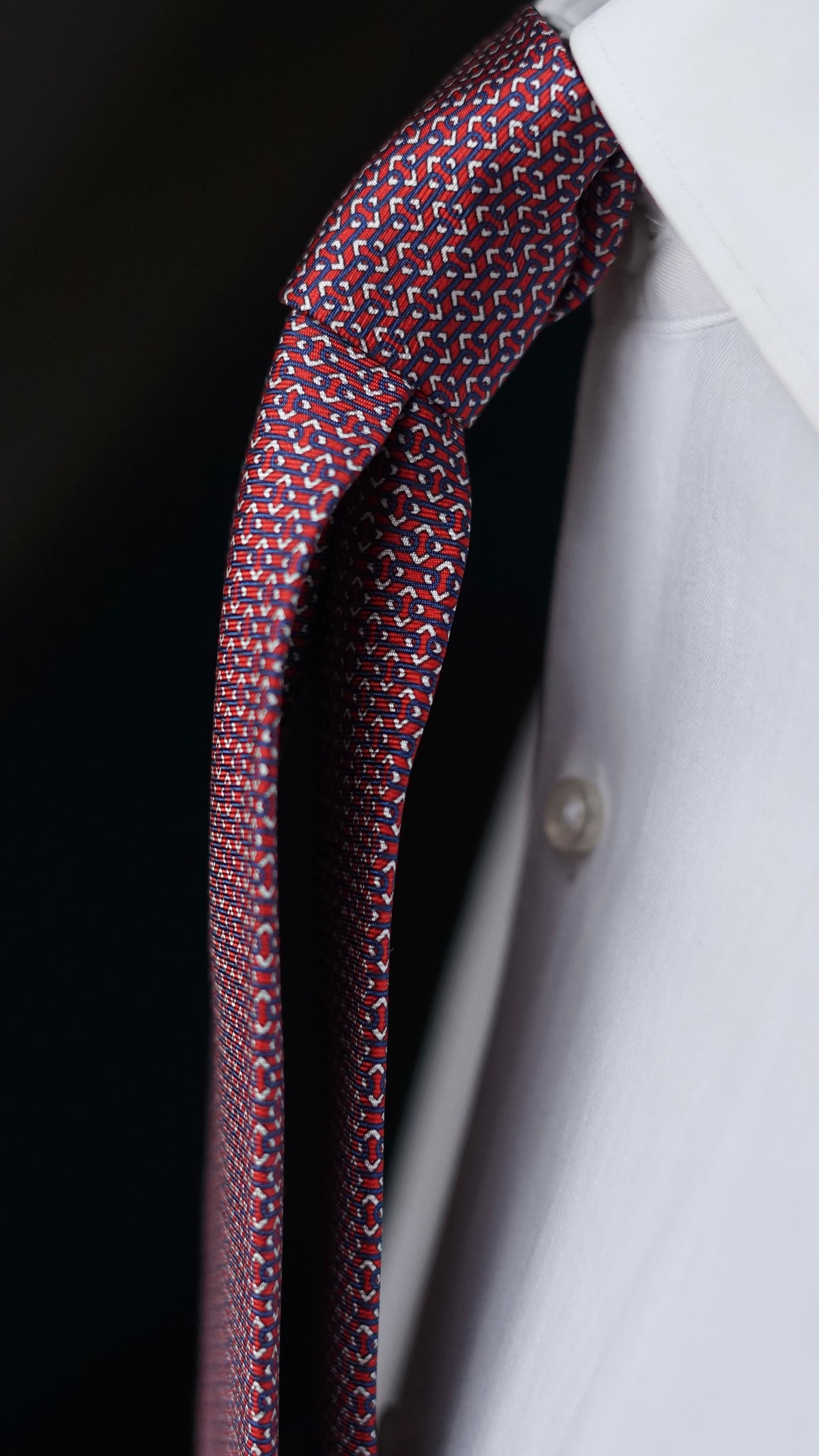 Salvia Silk Necktie