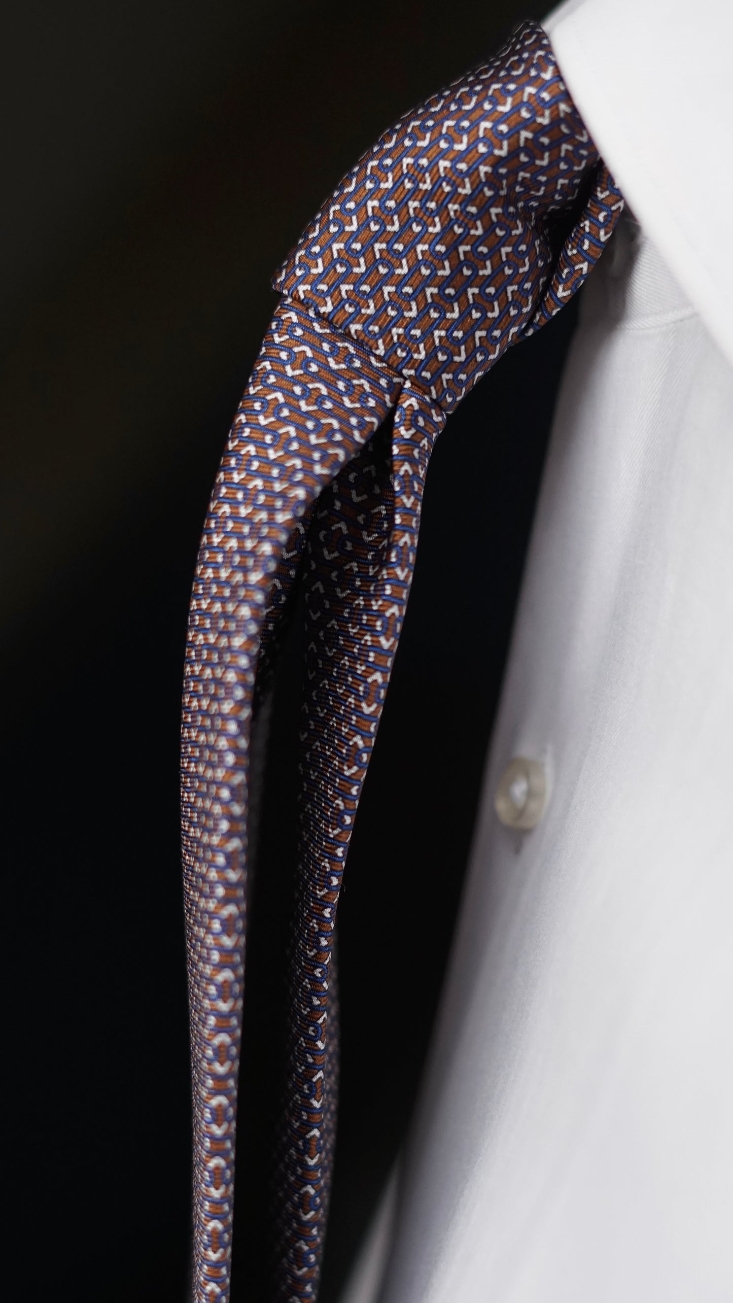 Salvia Brown Silk Necktie