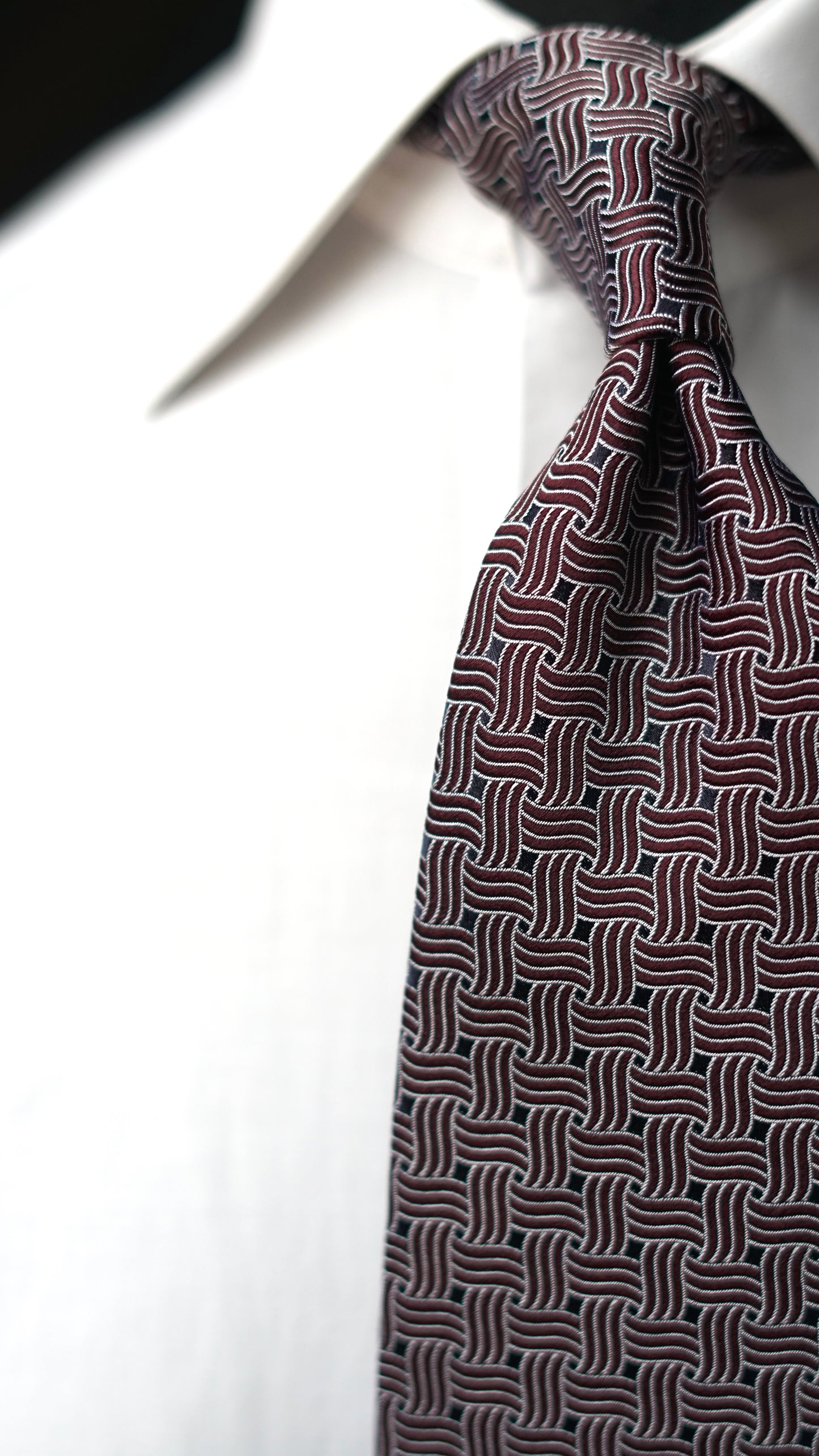 Bice Burgundy Silk Necktie