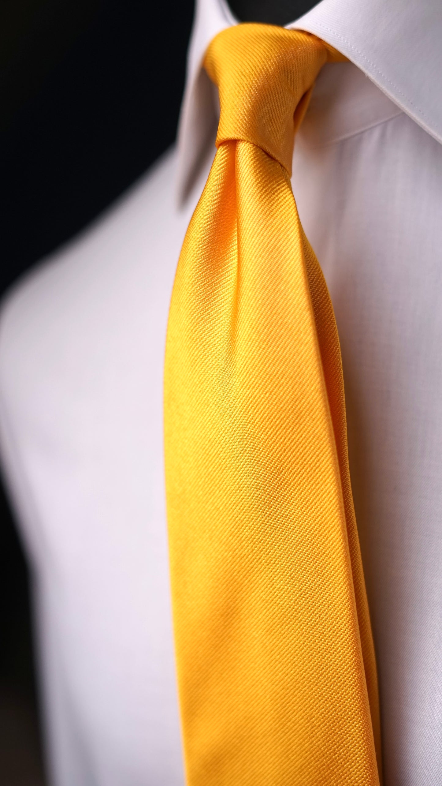 Ambra Solida Silk Necktie