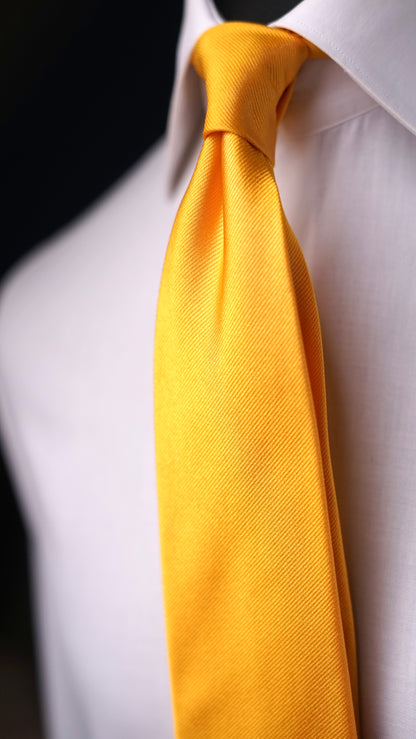 Ambra Solida Silk Necktie