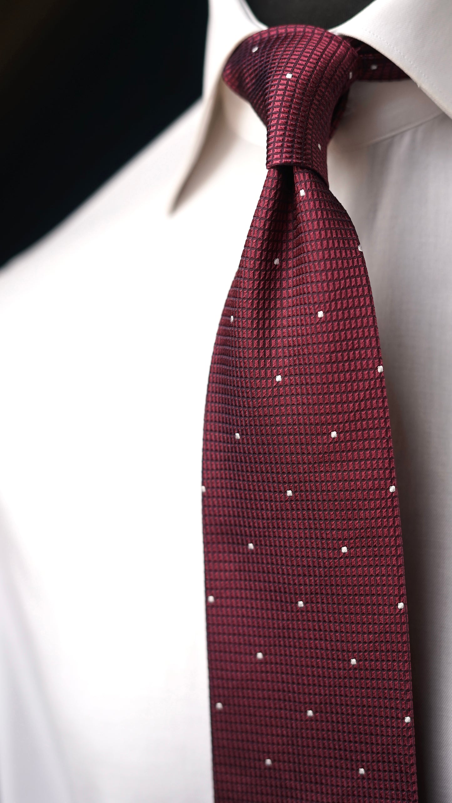 Catania Burgundy Silk Necktie