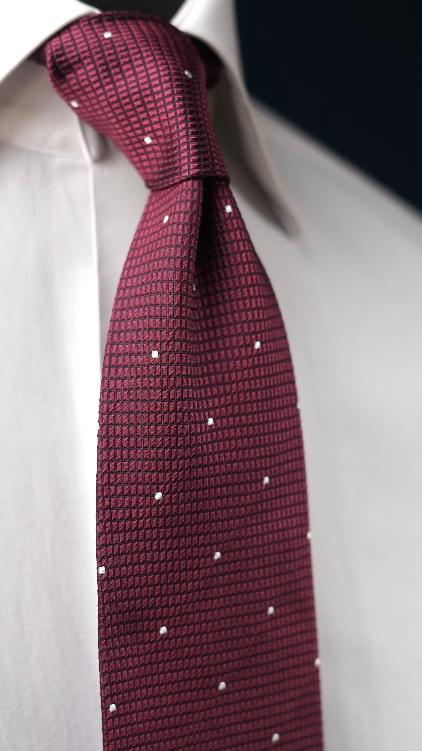 Catania Burgundy Silk Necktie
