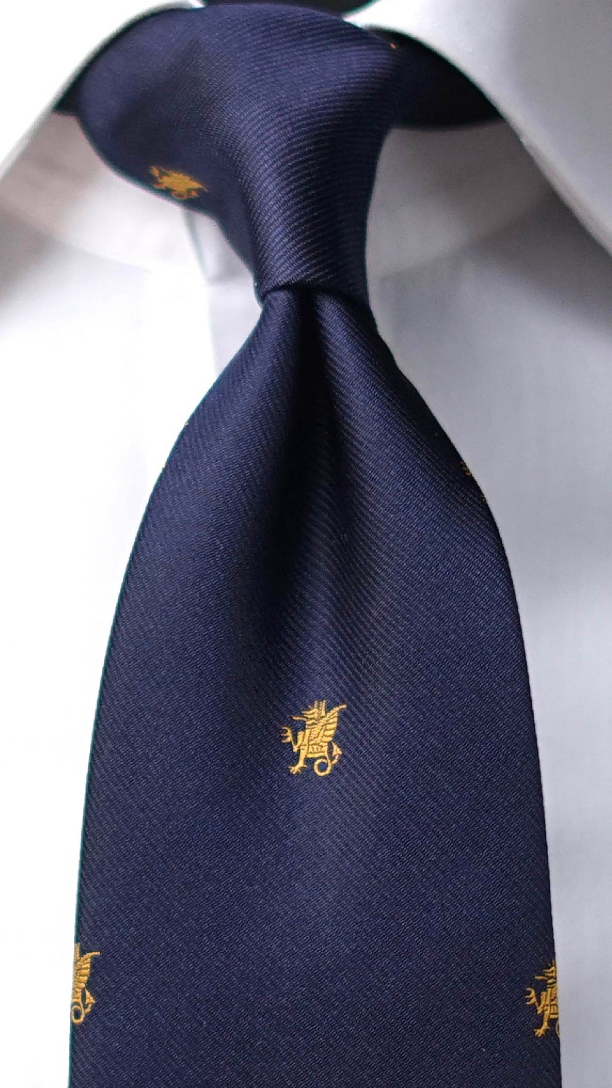 Divina Silk Necktie