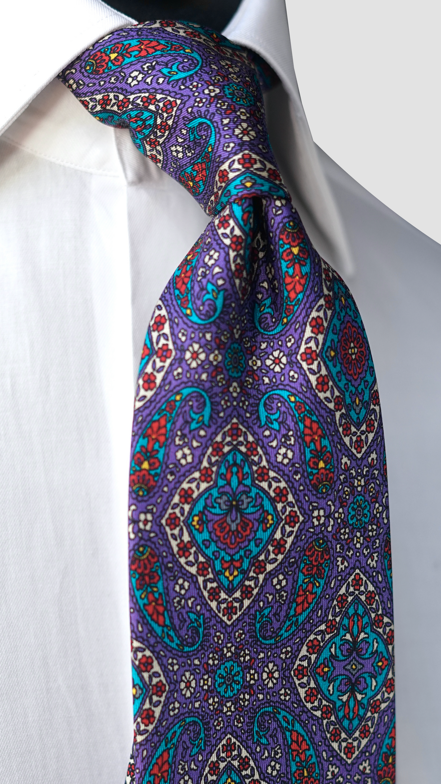 Salonia Silk Necktie