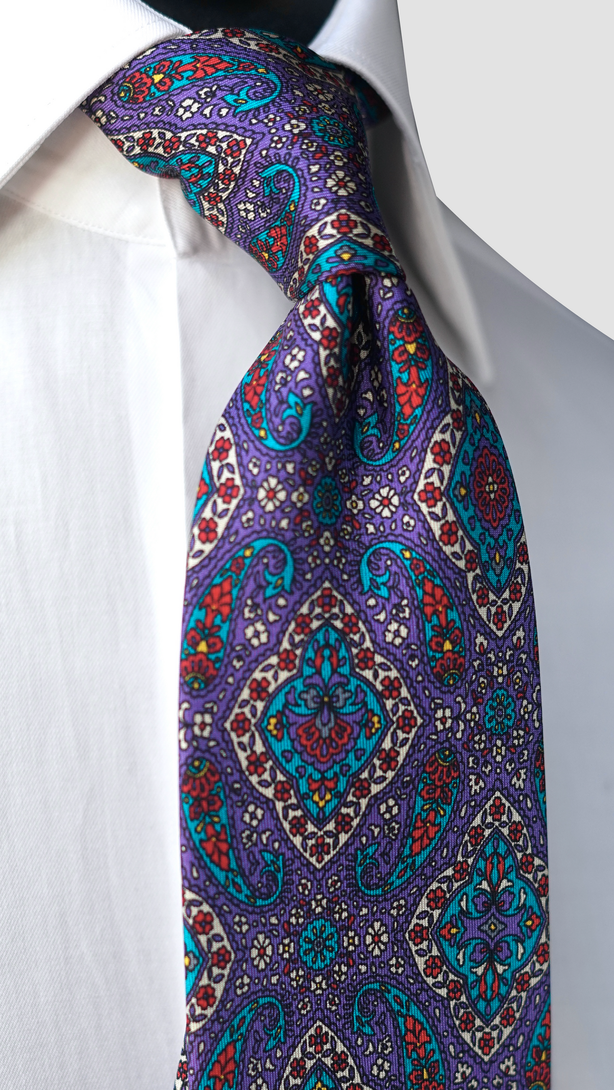 Salonia Silk Necktie