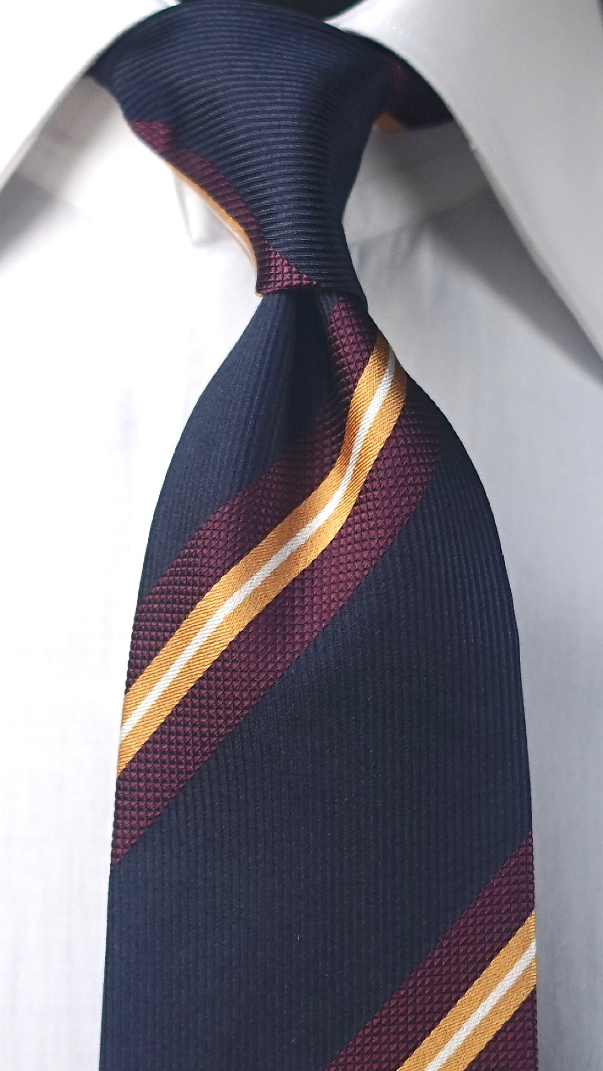 Tolomea Silk Necktie